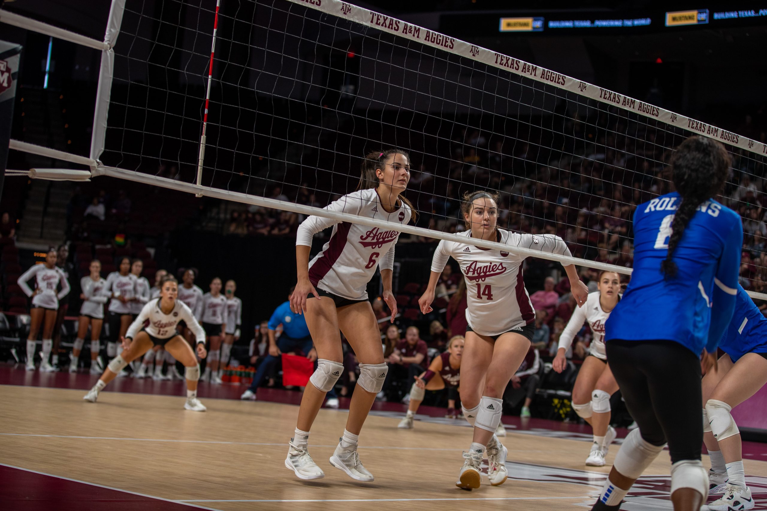 GALLERY; Volleyball vs. Kentucky