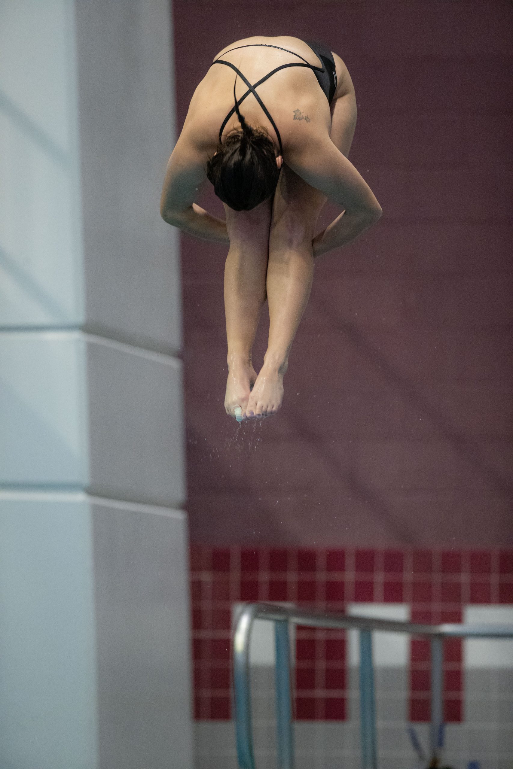 Swimming & Diving vs Houston