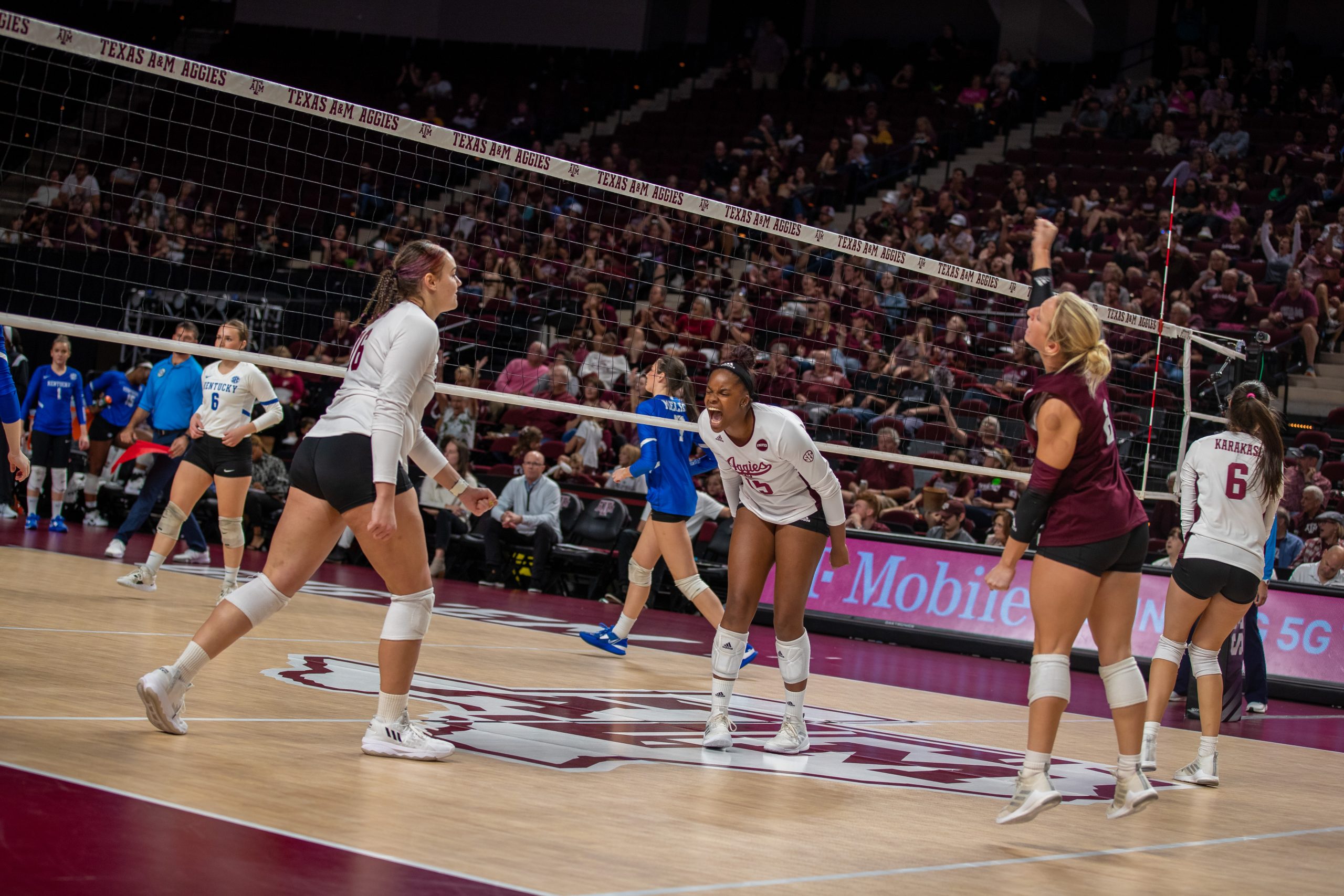 GALLERY; Volleyball vs. Kentucky