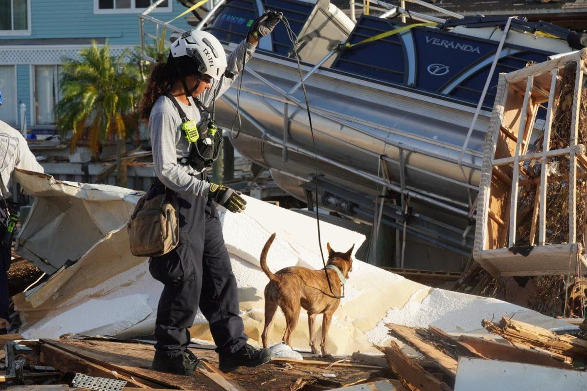 A member of Texas A&M Task Force 1 (TXTF1) helps conduct a canine search in Ft. Myers, Fla. in the aftermath of Hurricane Ian on Thursday, Oct. 6, 2022.