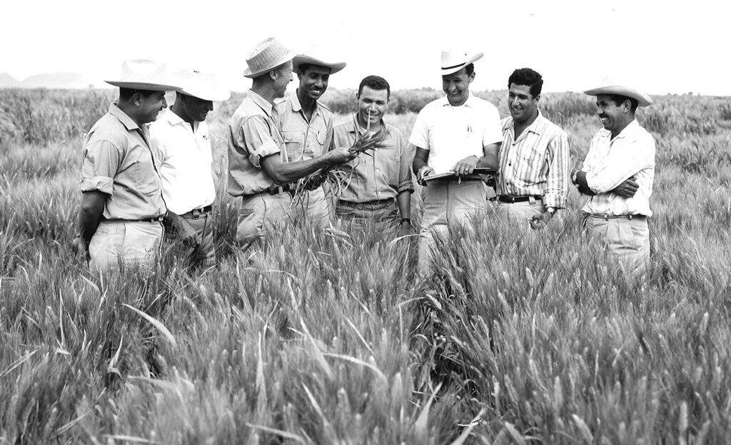 Norman Borlaug, Ph.D. talks to a group of scientists. From the beginning of his work, Dr. Borlaug dedicated his time and attention to the training of young scientists. 