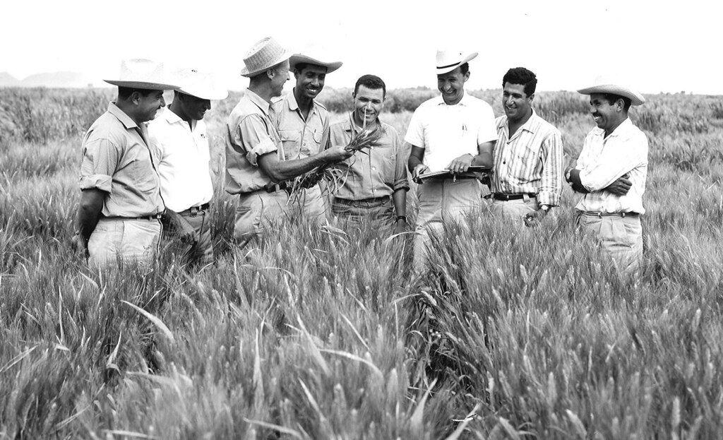 <p>Norman Borlaug, Ph.D. talks to a group of scientists. From the beginning of his work, Dr. Borlaug dedicated his time and attention to the training of young scientists. </p>