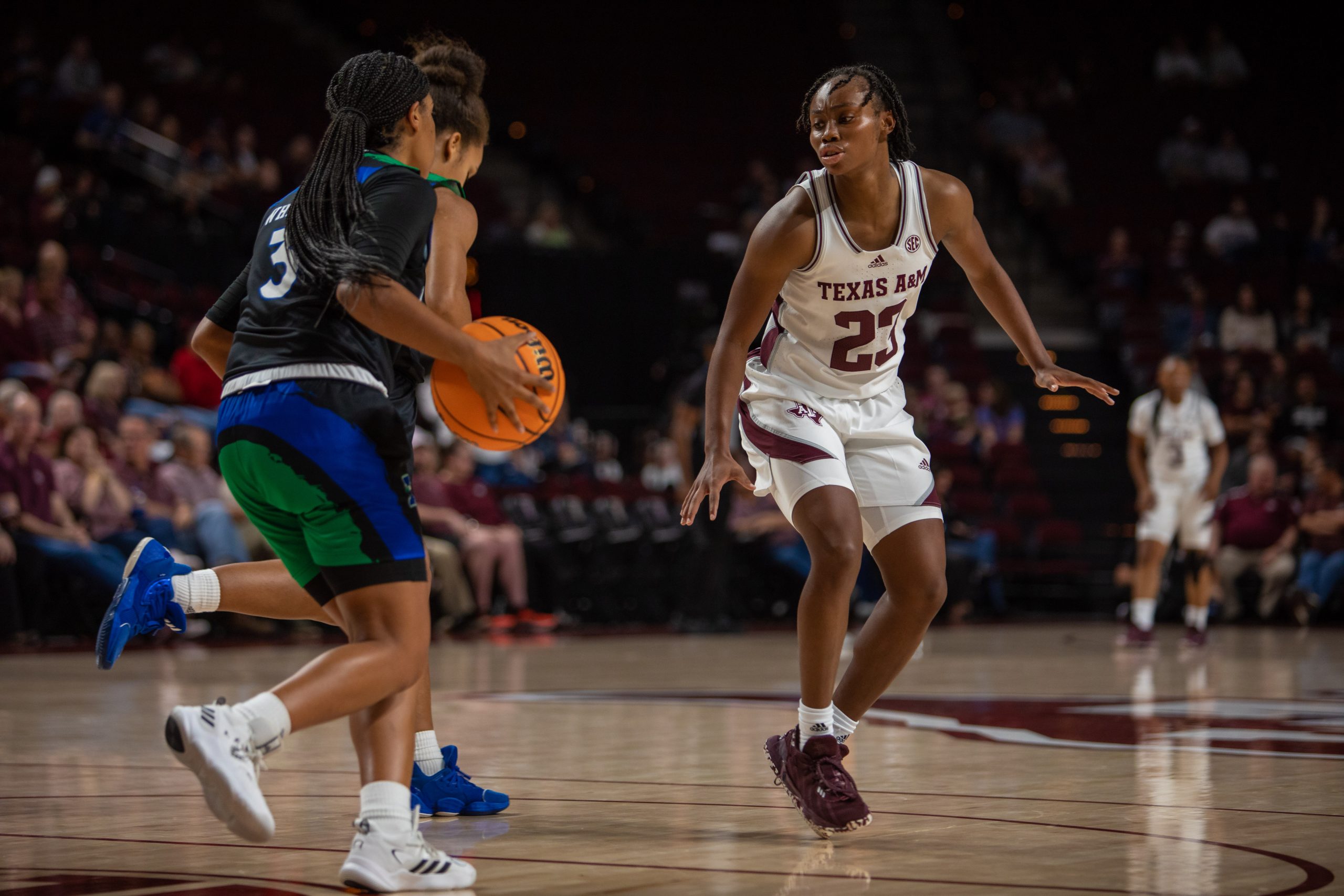 GALLERY%3A+Womens+Basketball+vs.+TAMU-CC