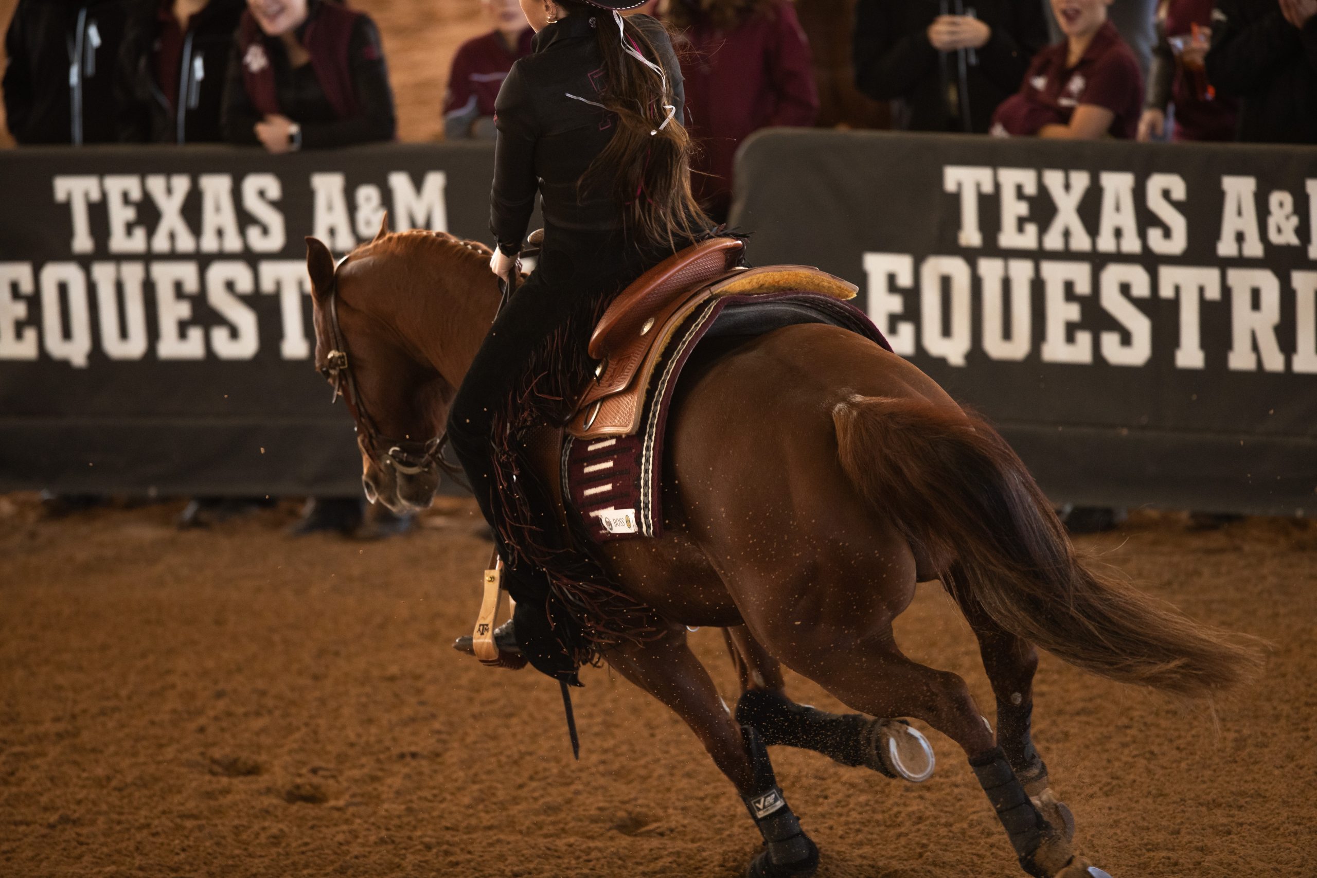 GALLERY: Equestrian vs Fresno