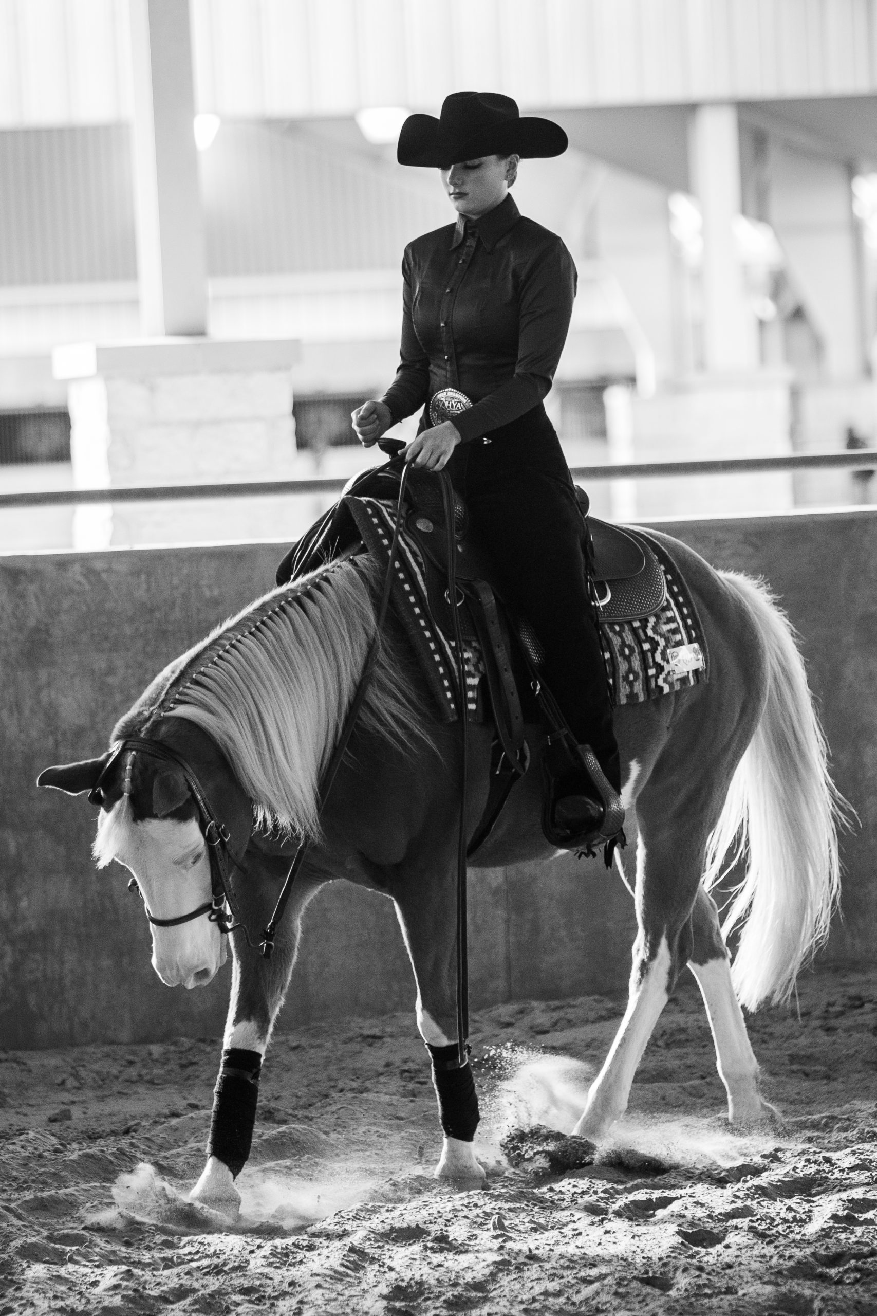 GALLERY%3A+Equestrian+vs+Fresno