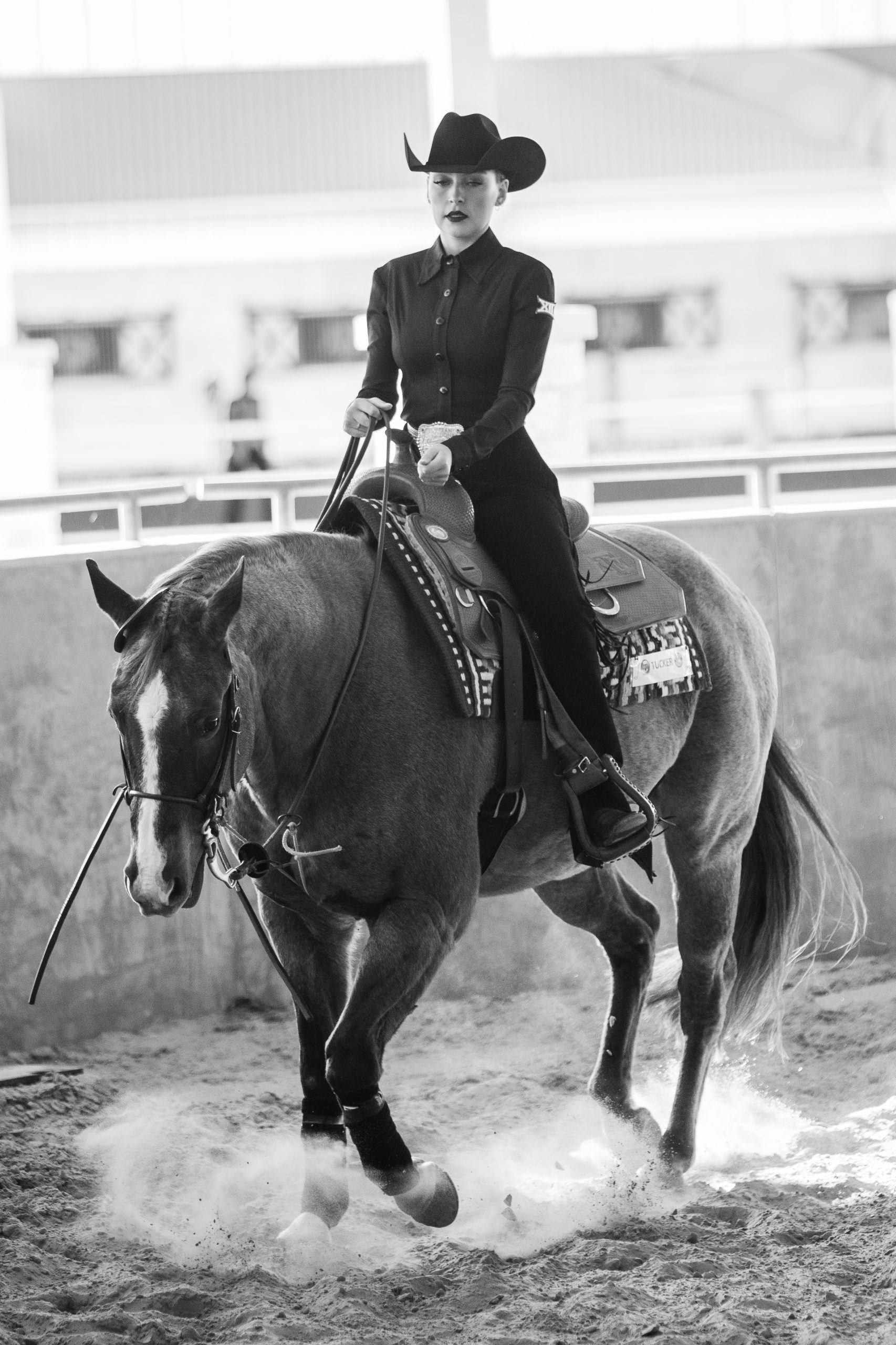 GALLERY%3A+Equestrian+vs+Fresno