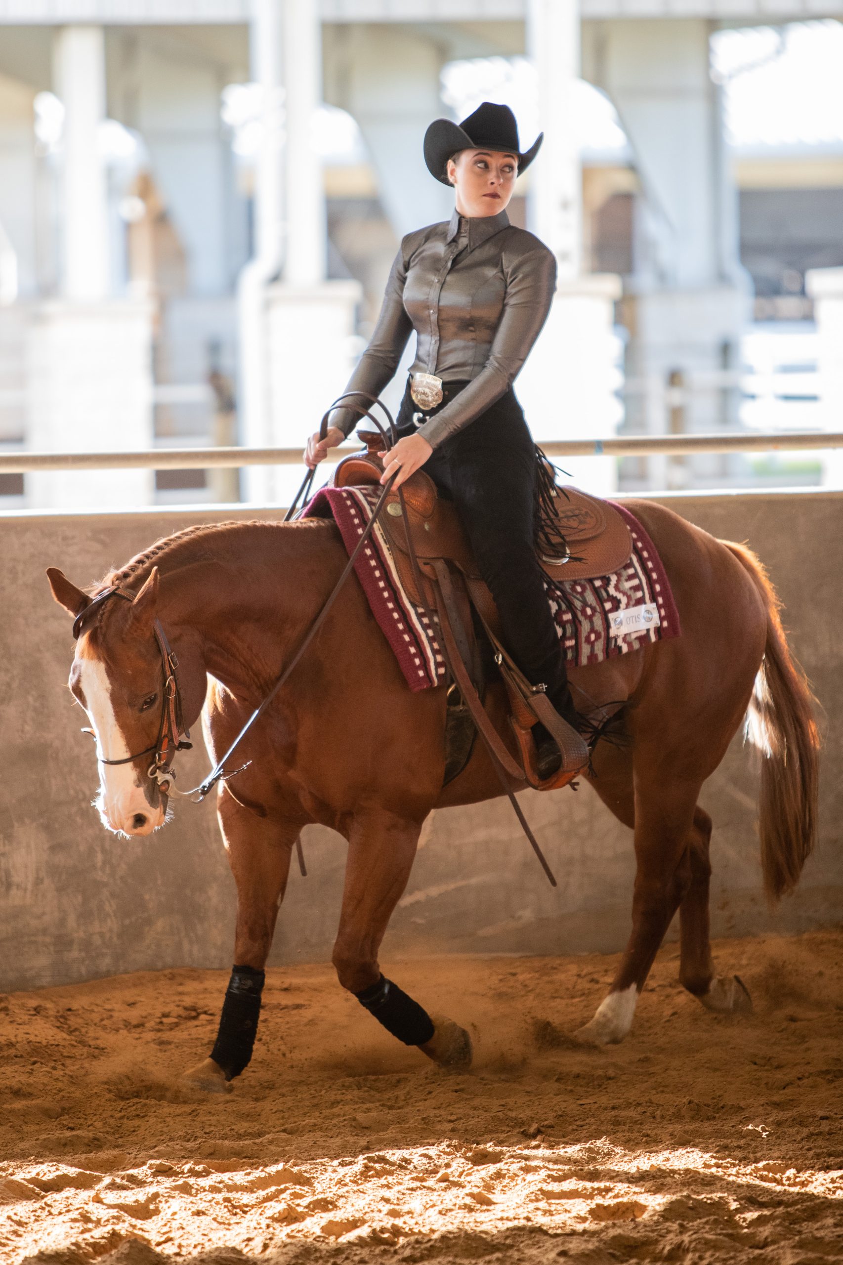 GALLERY: Equestrian vs Fresno