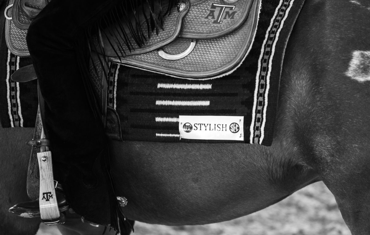 <p>Sophomore Elle Gerbrandt rides A&M's Stylish during the competition against Fresno State at Hildebrand Equine Complex on Thursday, Nov. 17, 2022. (Bridget Bristow/The Battalion)</p>