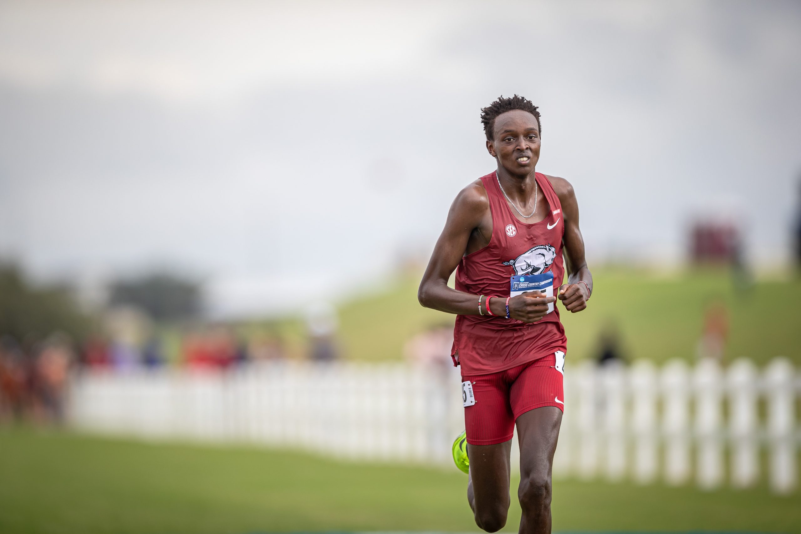 GALLERY: Cross Country NCAA Division I South Central Regional