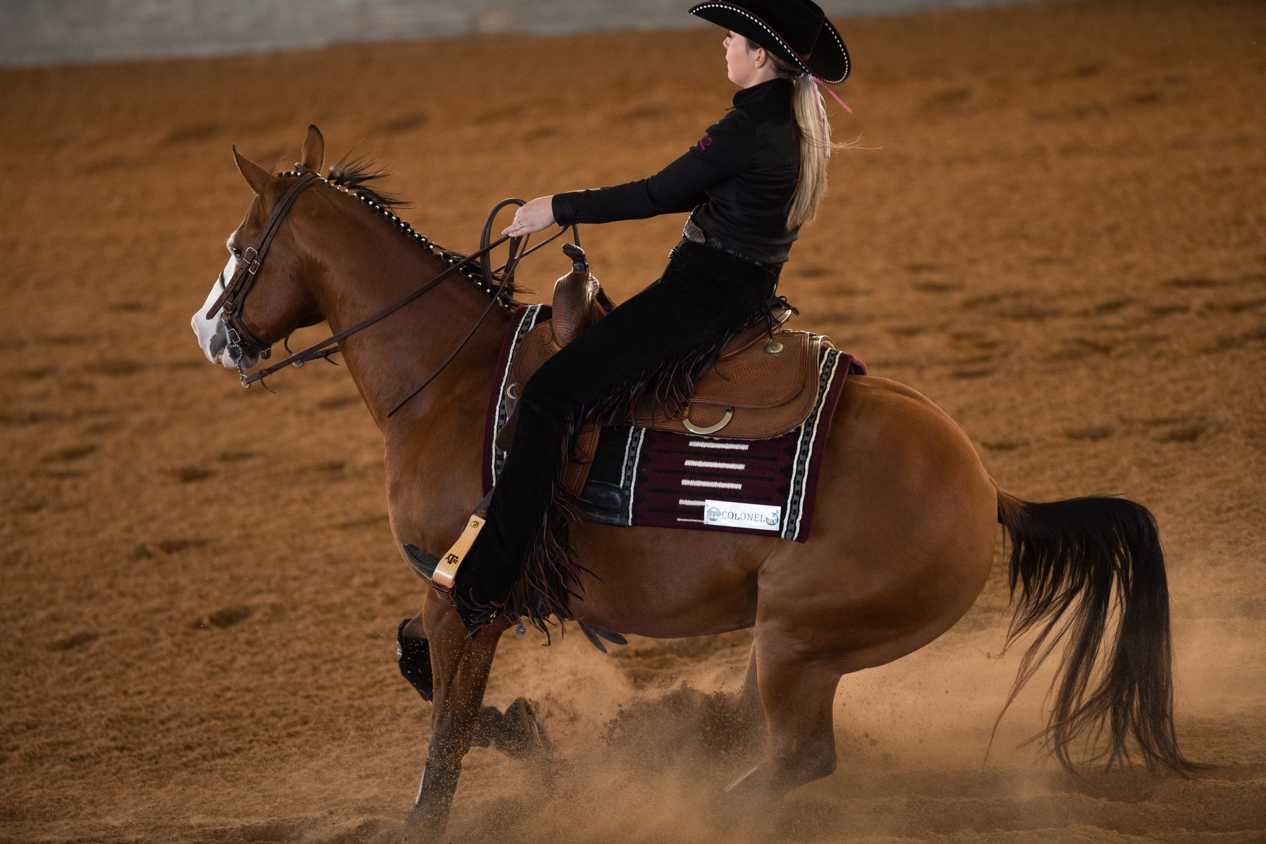 GALLERY: Equestrian vs Fresno