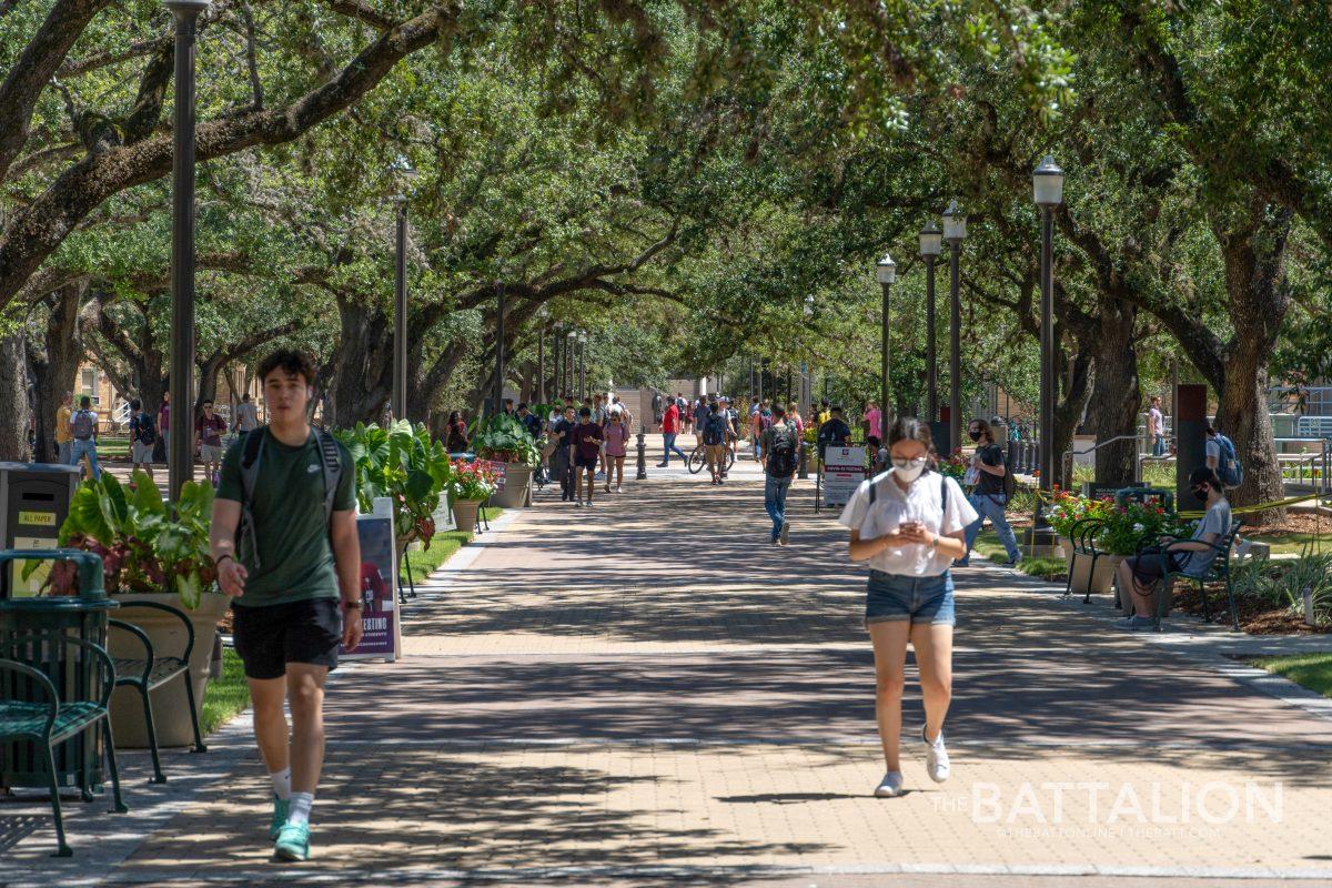 <p>Students walked down Military Walk on their way to class. </p>