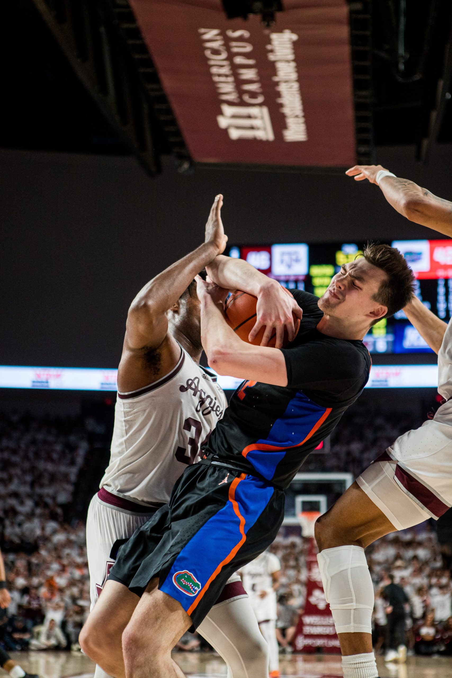 GALLERY: Men's Basketball vs. Florida