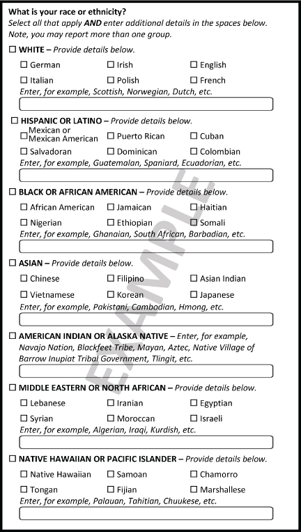 Race and ethnicity Census questionnaire