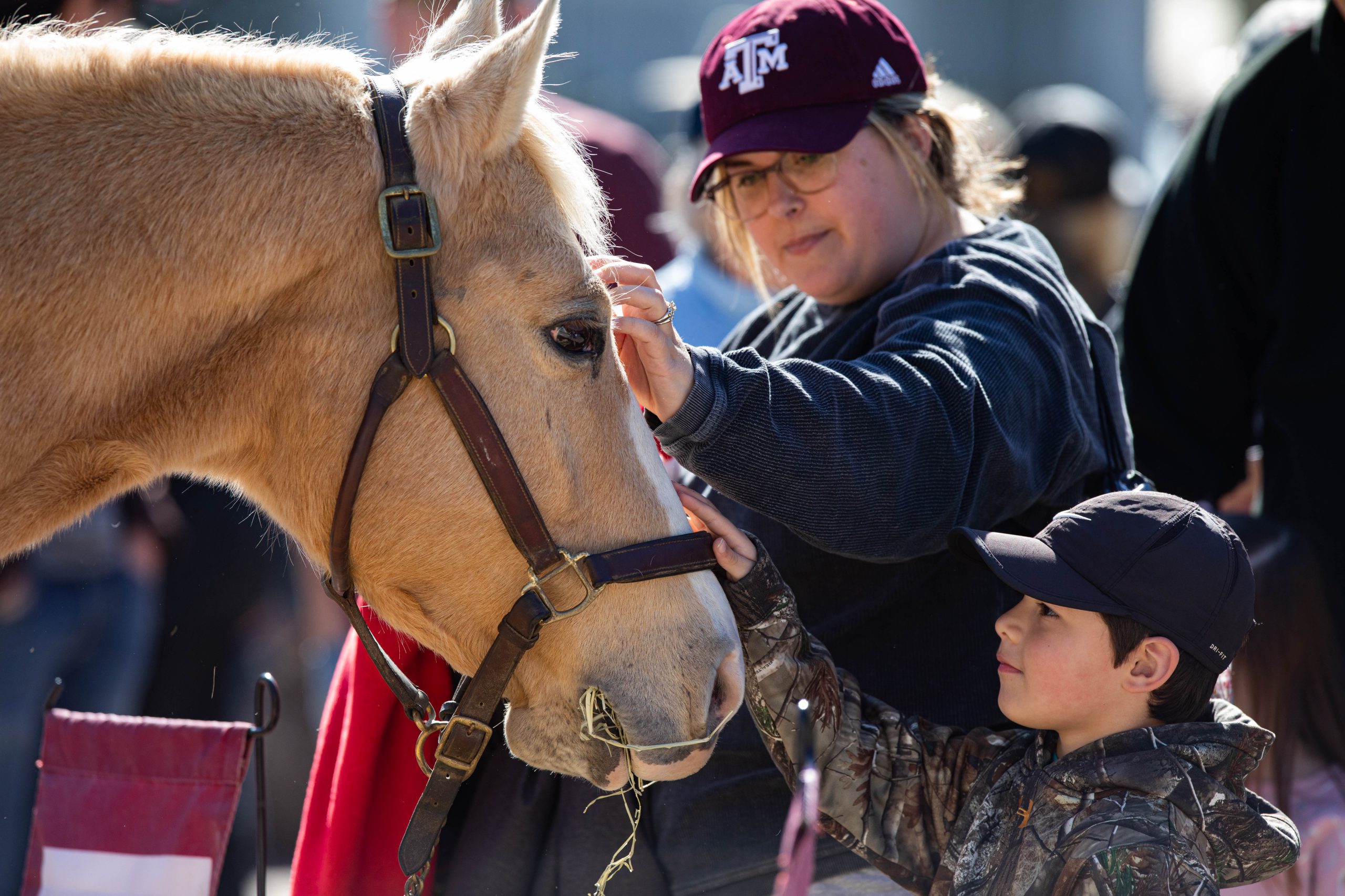 GALLERY%3A+Equestrian+vs+Auburn