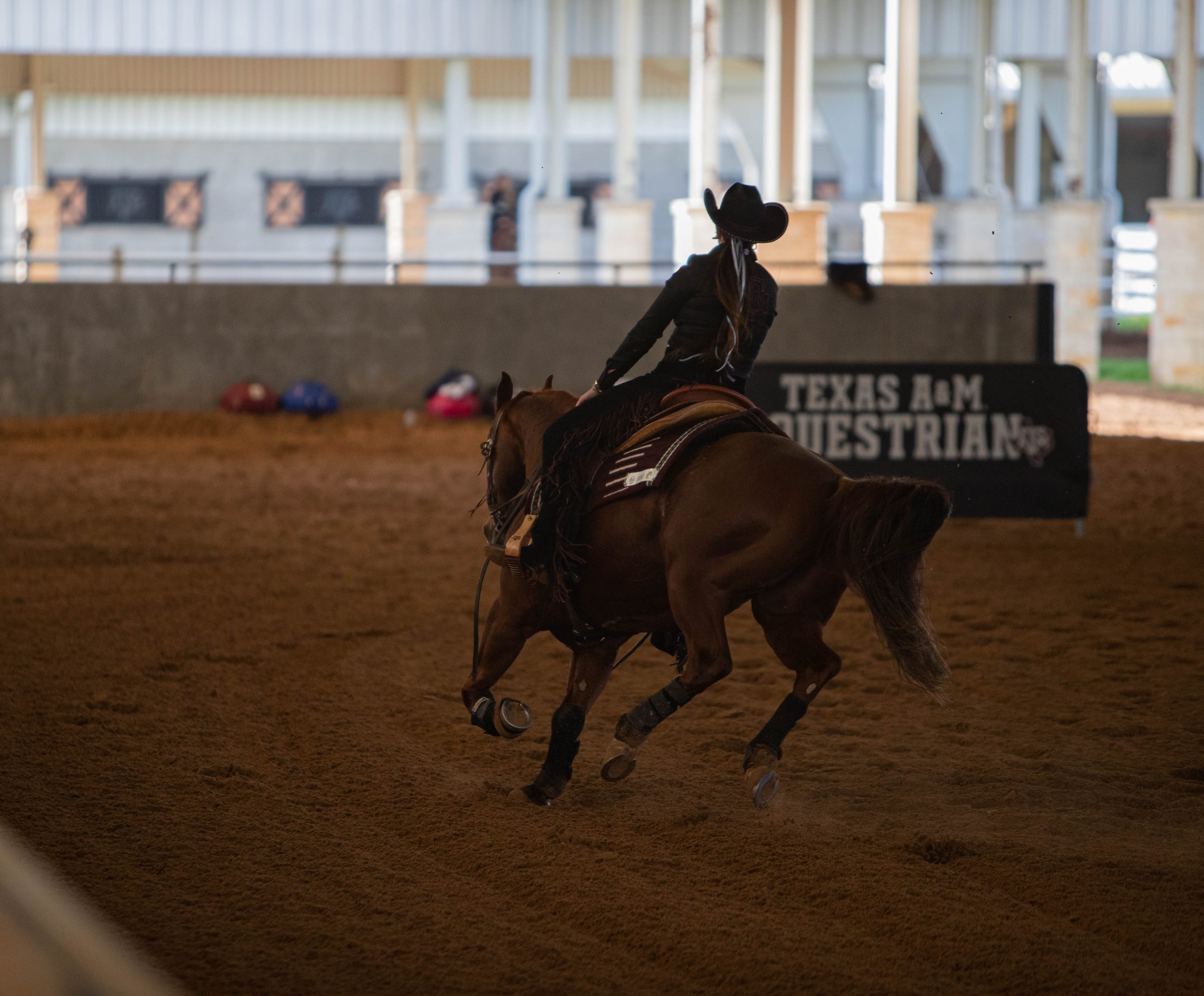 GALLERY%3A+Equestrian+vs+Auburn