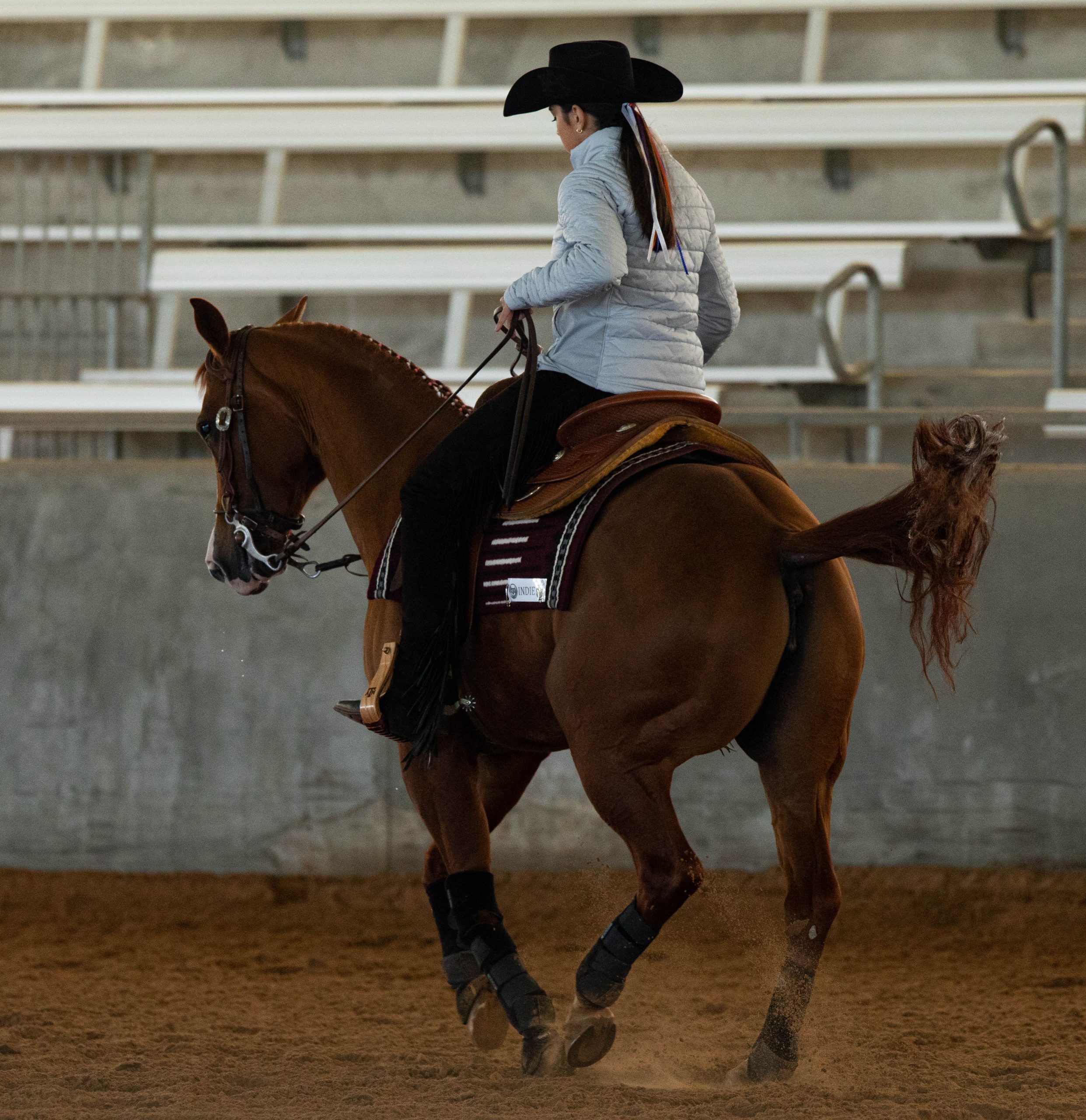 GALLERY%3A+Equestrian+vs+Auburn