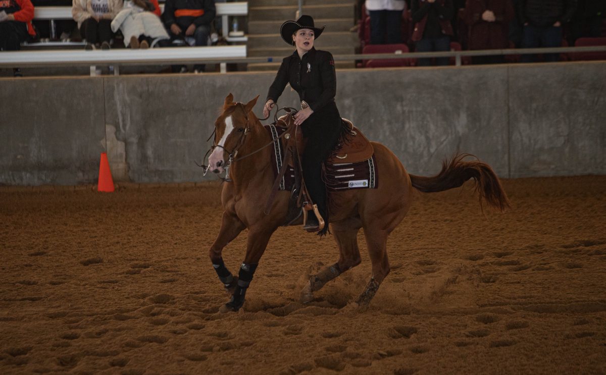 Sophomore Lauren Hanson rides A&Ms Indie in the reining event during the competition against Auburn at Hildebrand Equine Complex on Saturday, Feb. 4, 2023.