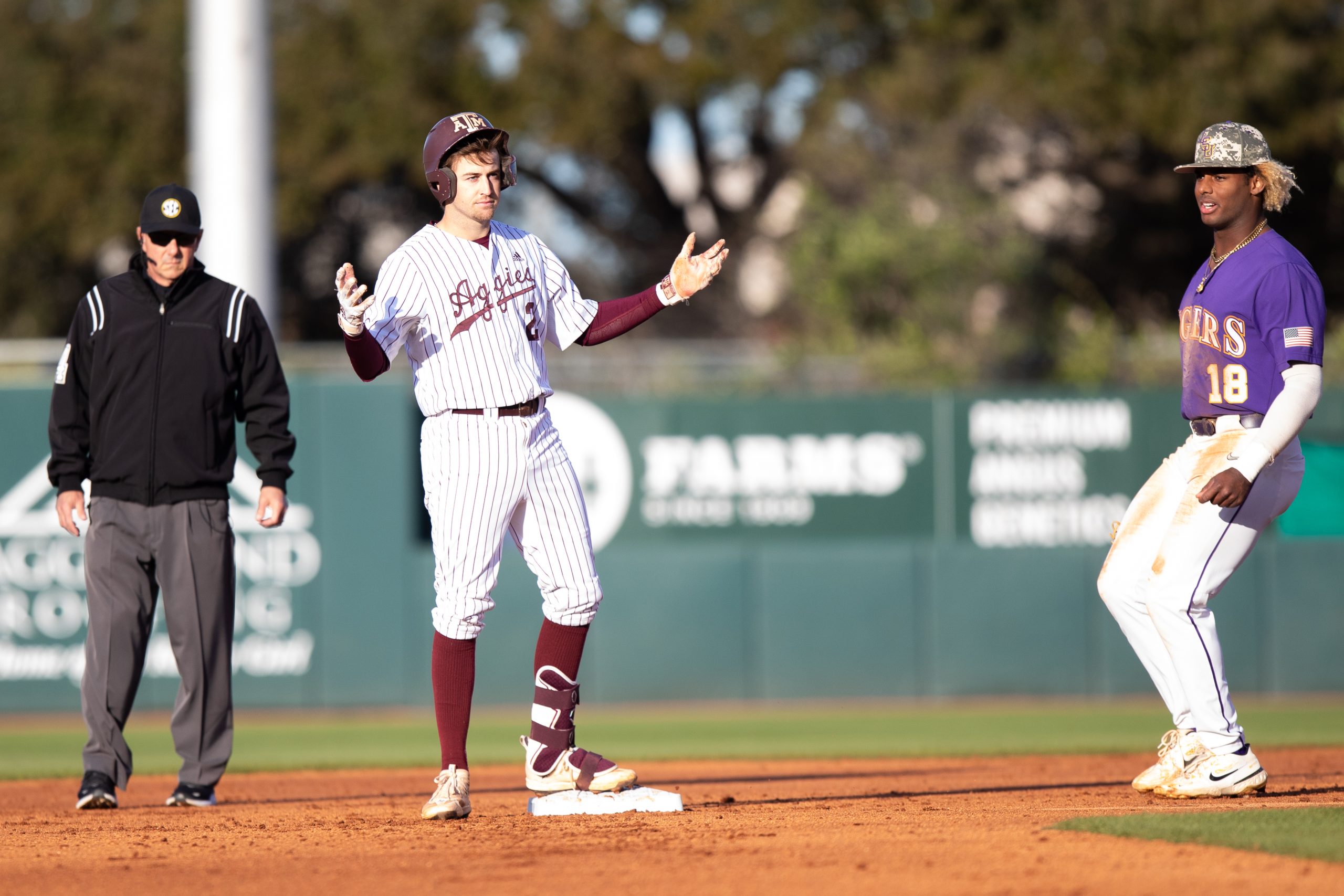 GALLERY: Baseball vs. LSU