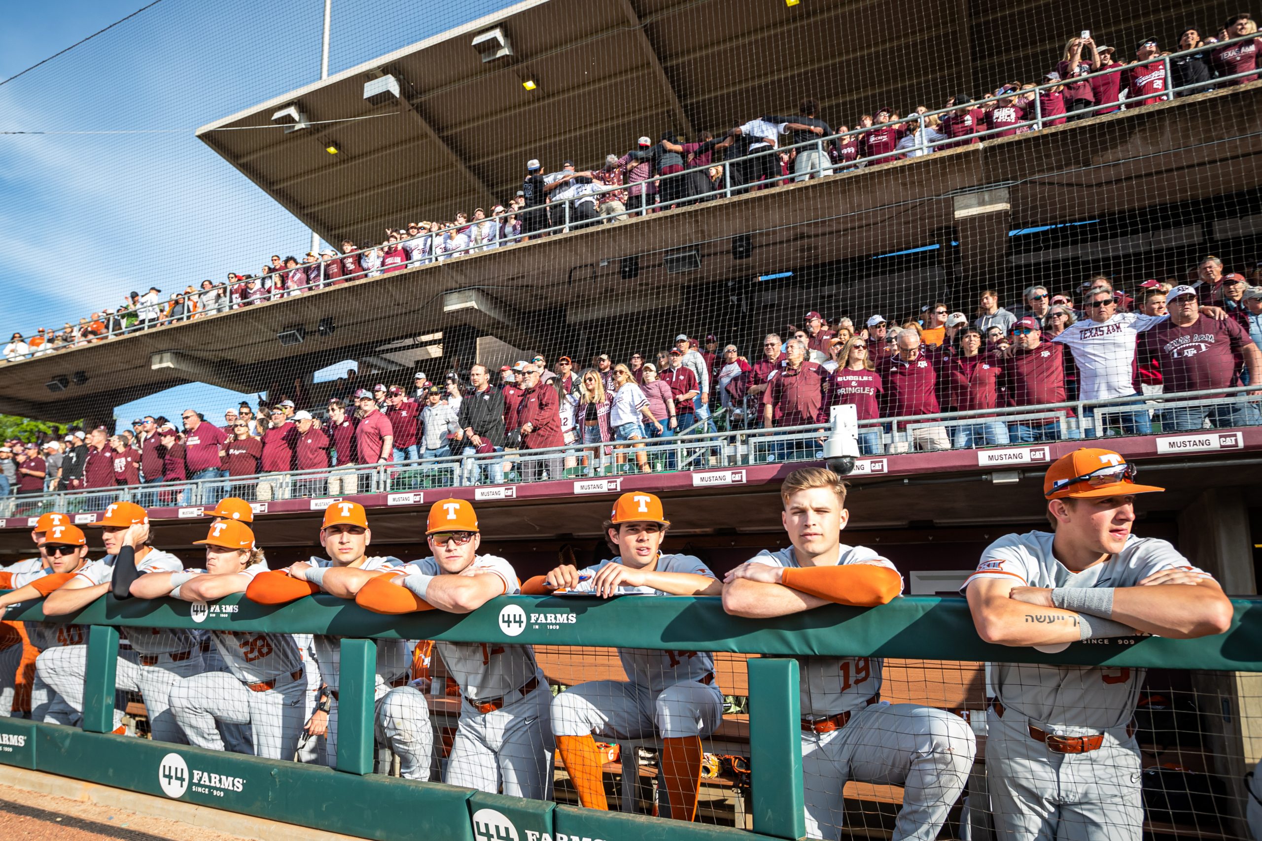 GALLERY: Baseball vs. Texas