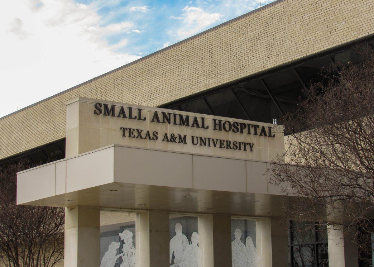 The current Texas A&M University Small Animal Hospital is set to be replaced by a new Small Animal Teaching & Research Hospital with the support of lead donors Linda and Dennis Clark 68.