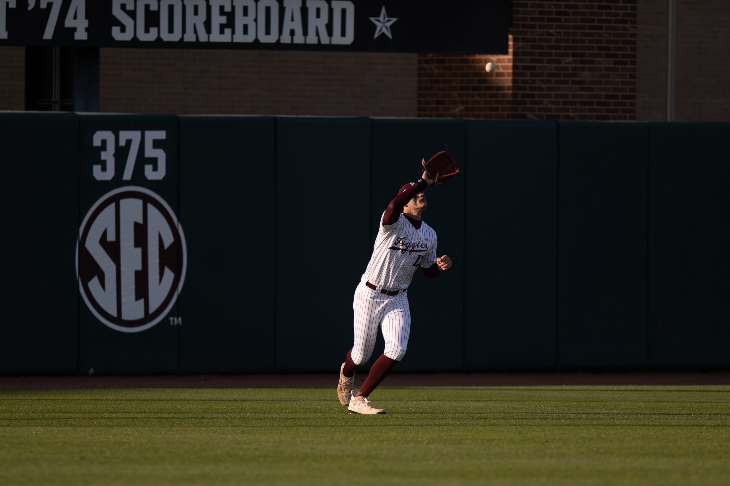 GALLERY: Baseball vs. LSU