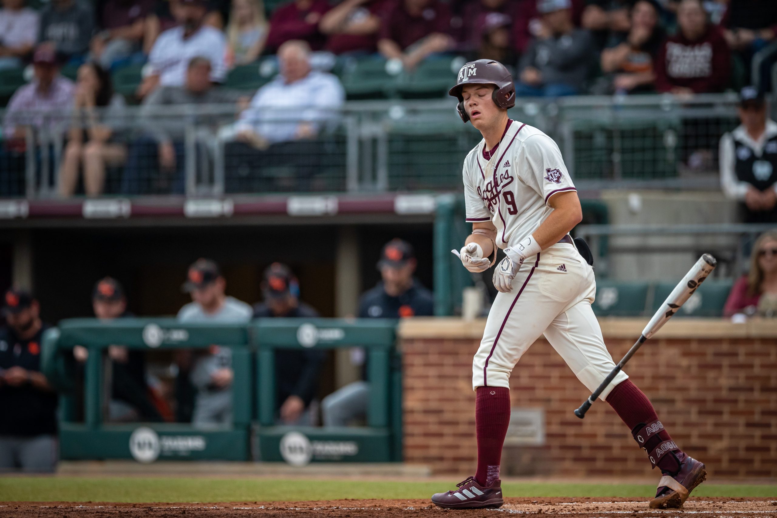 GALLERY: Baseball vs. Sam Houston State