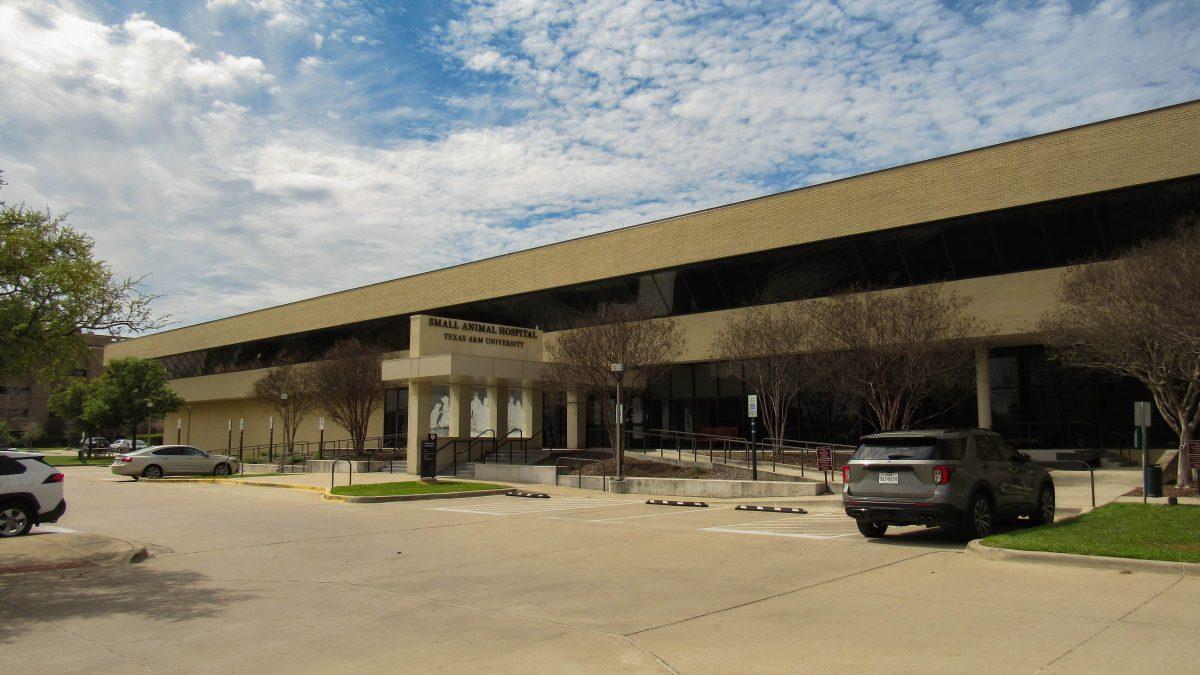 Texas A&amp;M&#8217;s&#160;School of Veterinary Medicine was given prestigious rankings for its performance and dedication. It ranked 11th globally and sixth in the U.S. in veterinary sciences, and ranked first among the SEC schools.