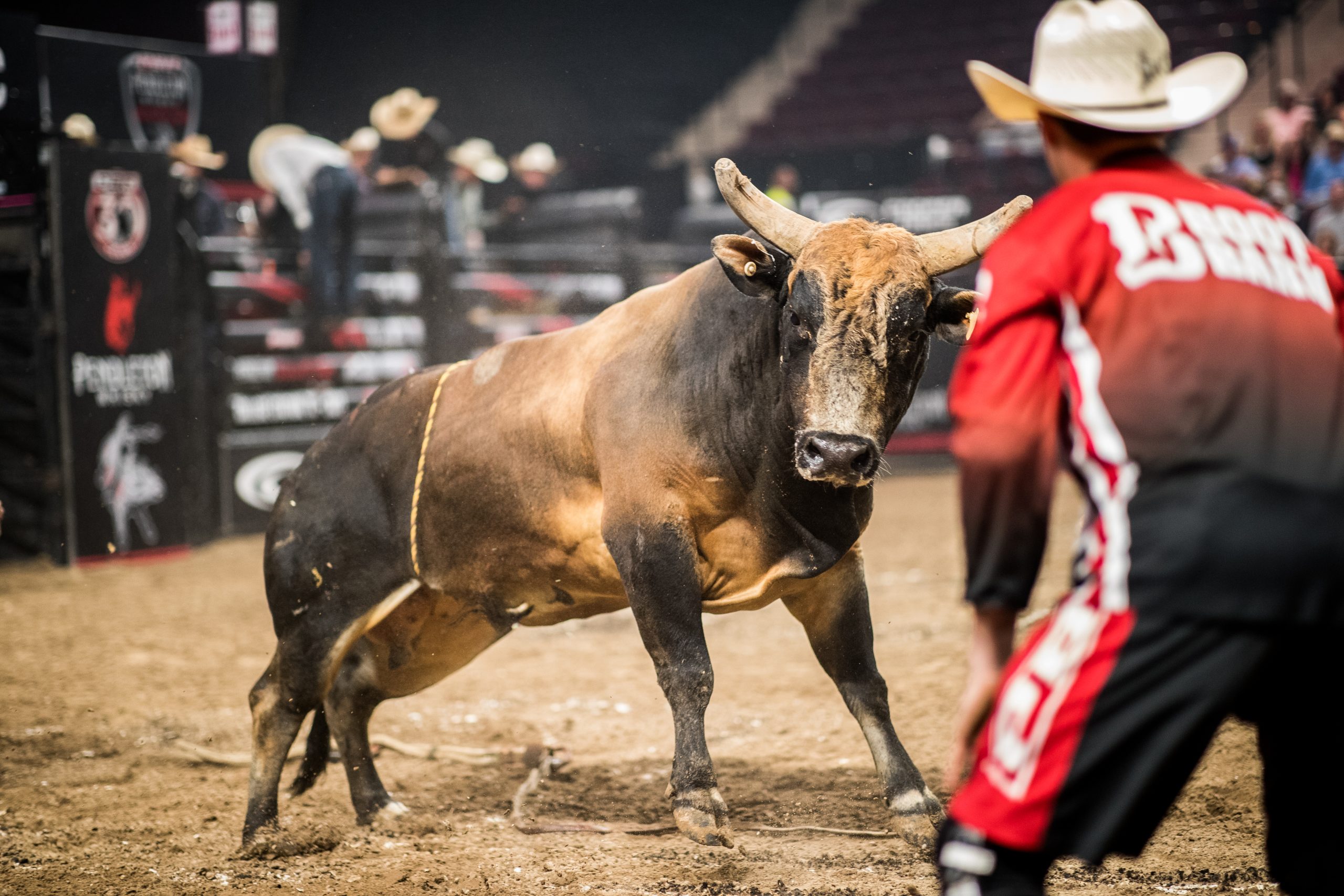 GALLERY%3A+Professional+Bull+Riding+2023