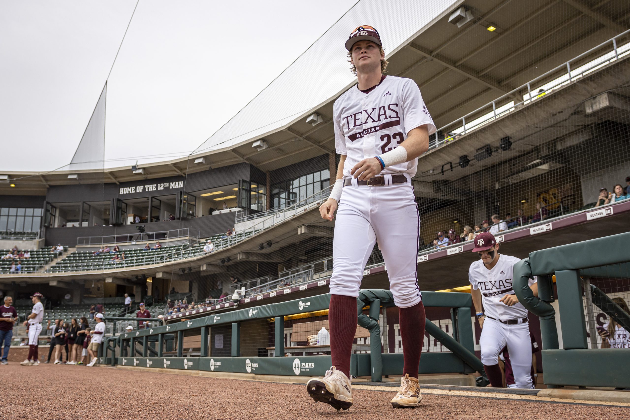 GALLERY%3A+Baseball+vs.+Tarleton