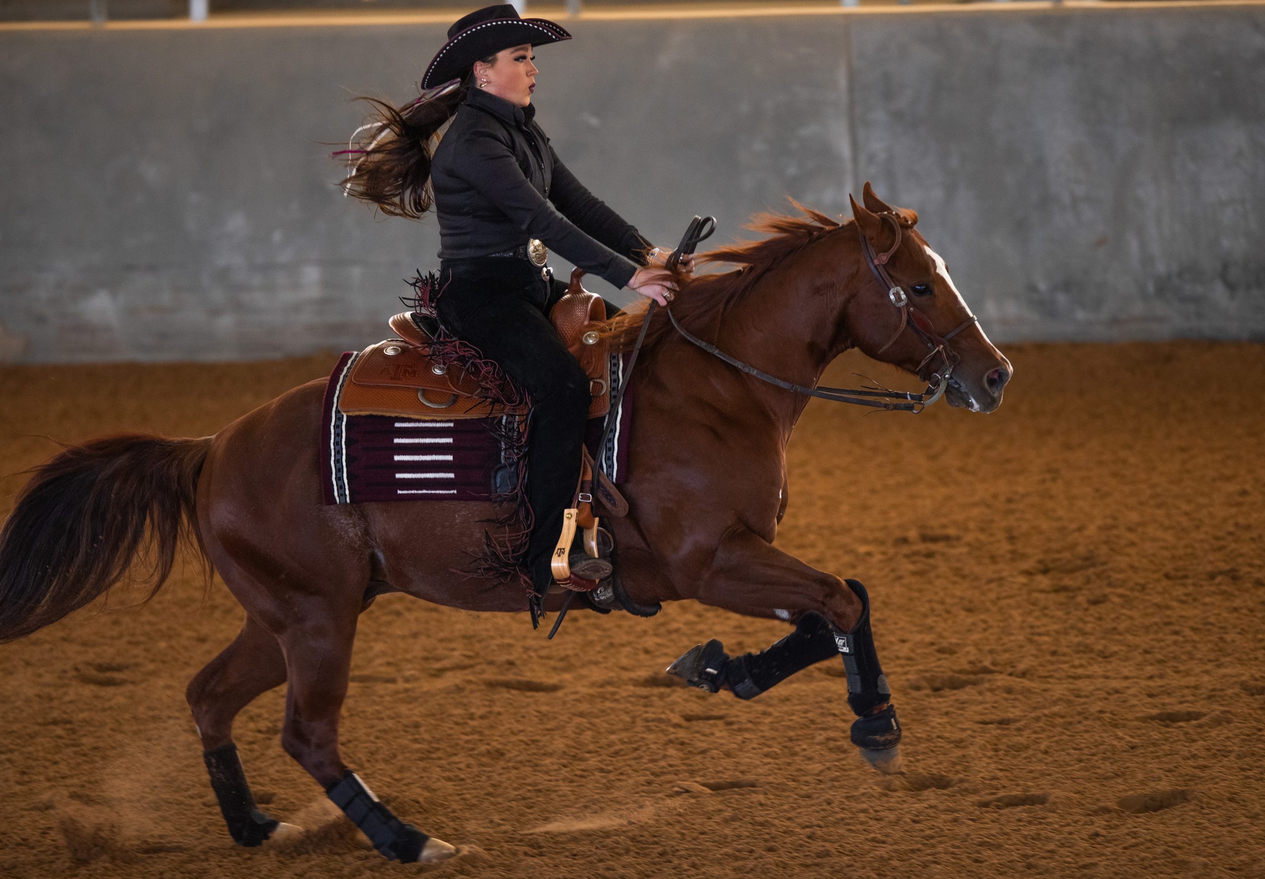 GALLERY: Equestrian vs Fresno