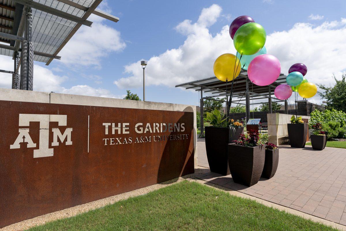 The Gardens at Texas A&M University will host its annual Summer Celebration on Saturday, June 3, 2023. 