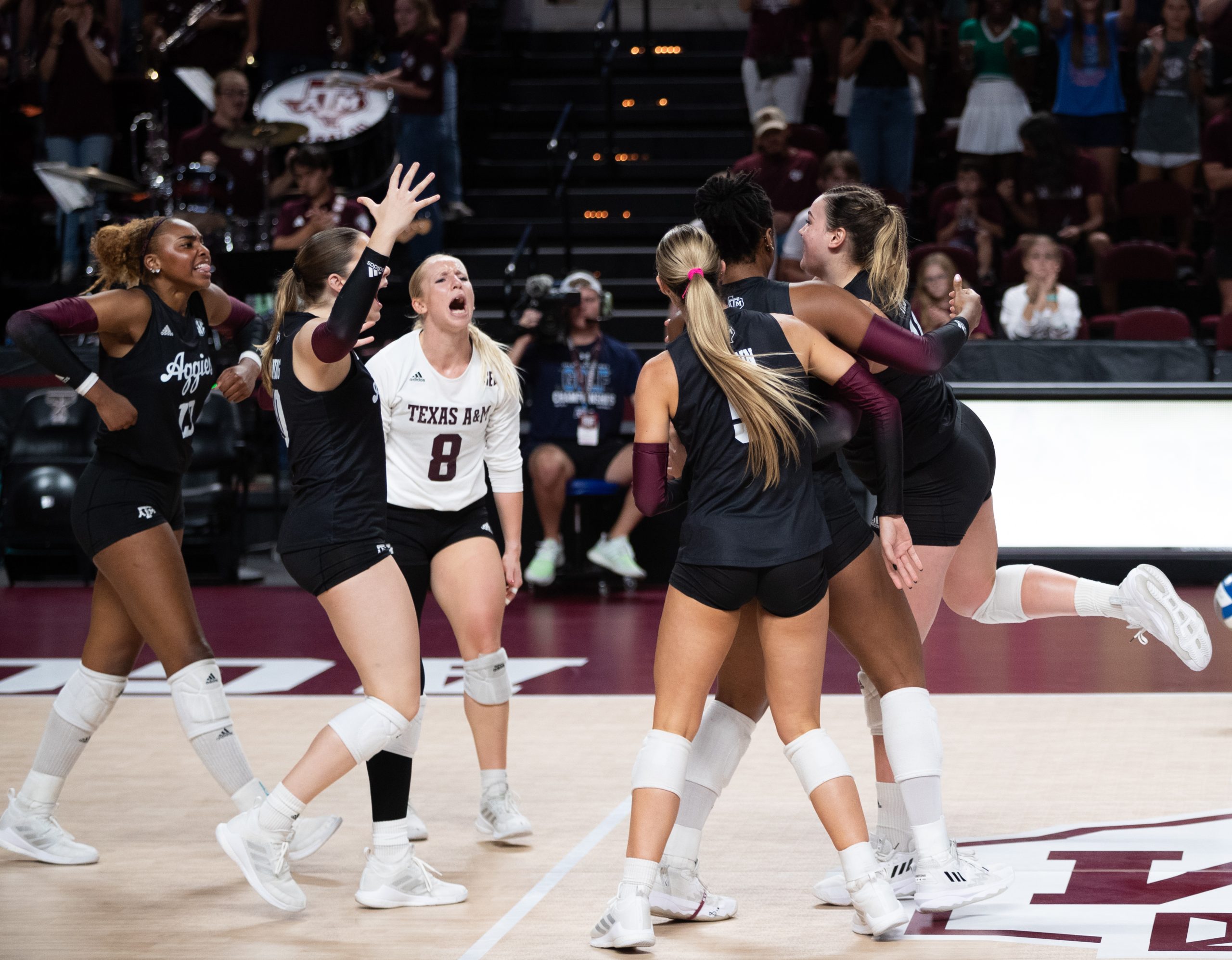 GALLERY: Volleyball vs. TCU