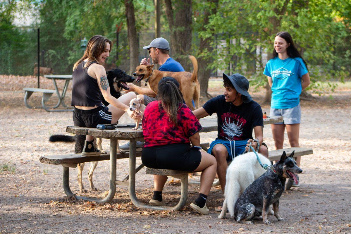 Students talk with their dogs at University Dog Park on Park Road. 