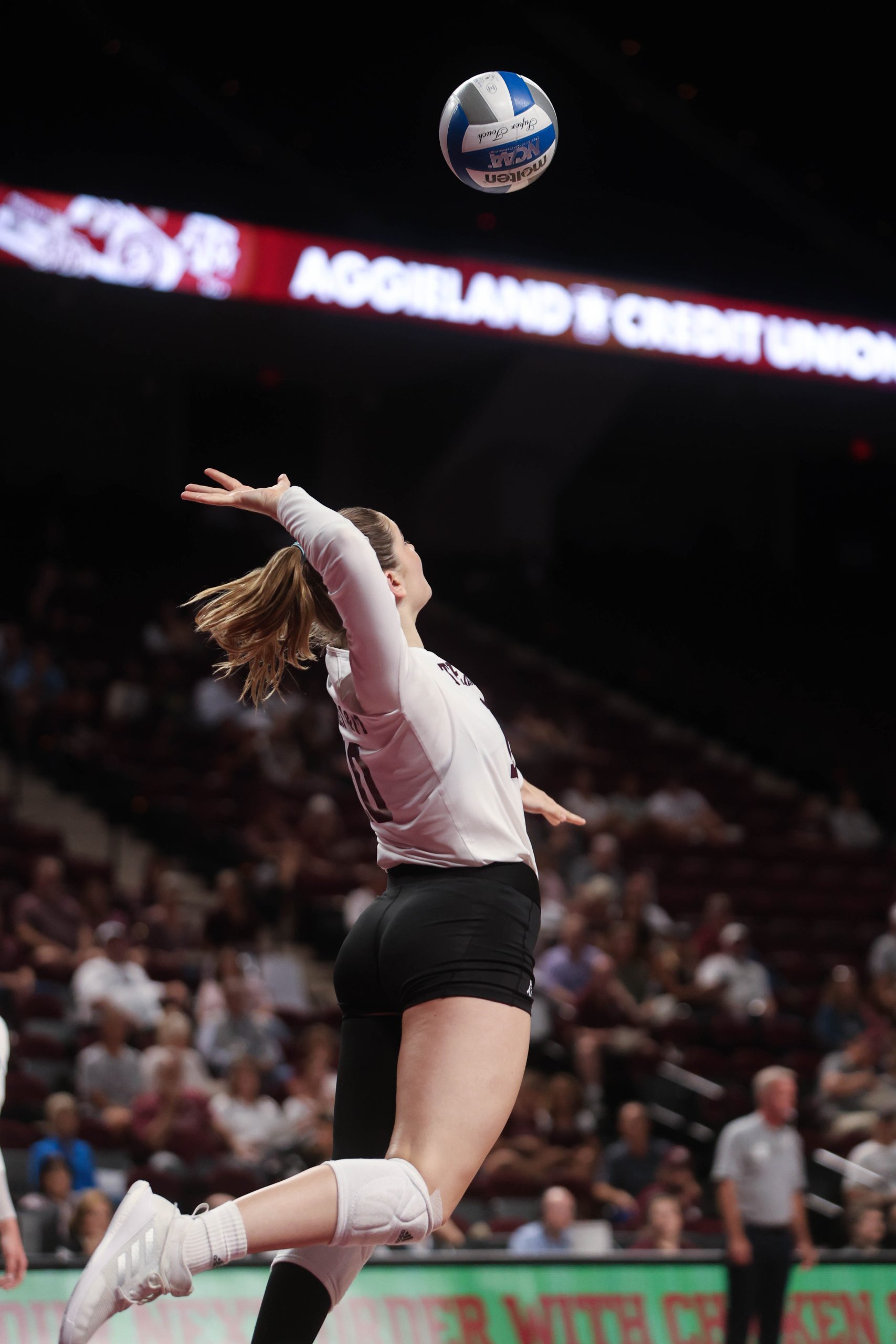 GALLERY: Volleyball vs. Mississippi State