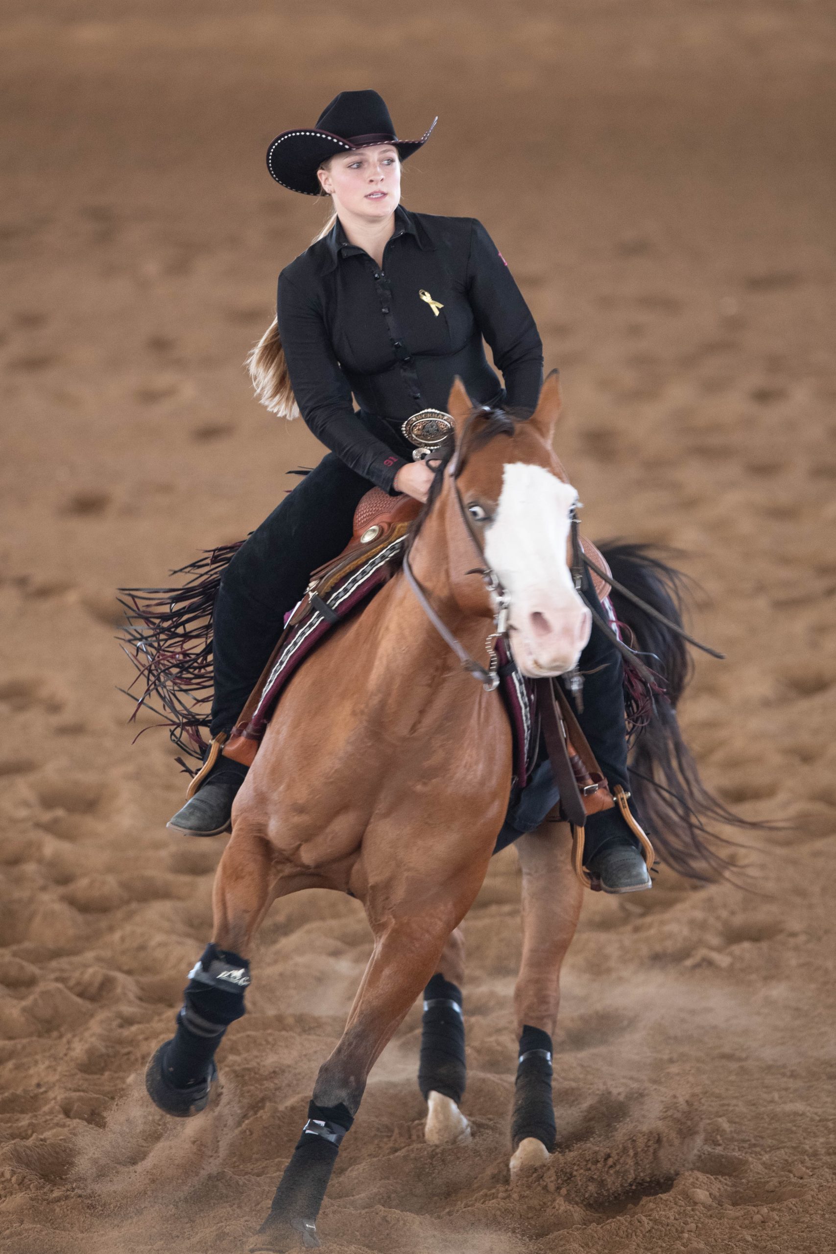 GALLERY%3A+Equestrian+vs+Baylor