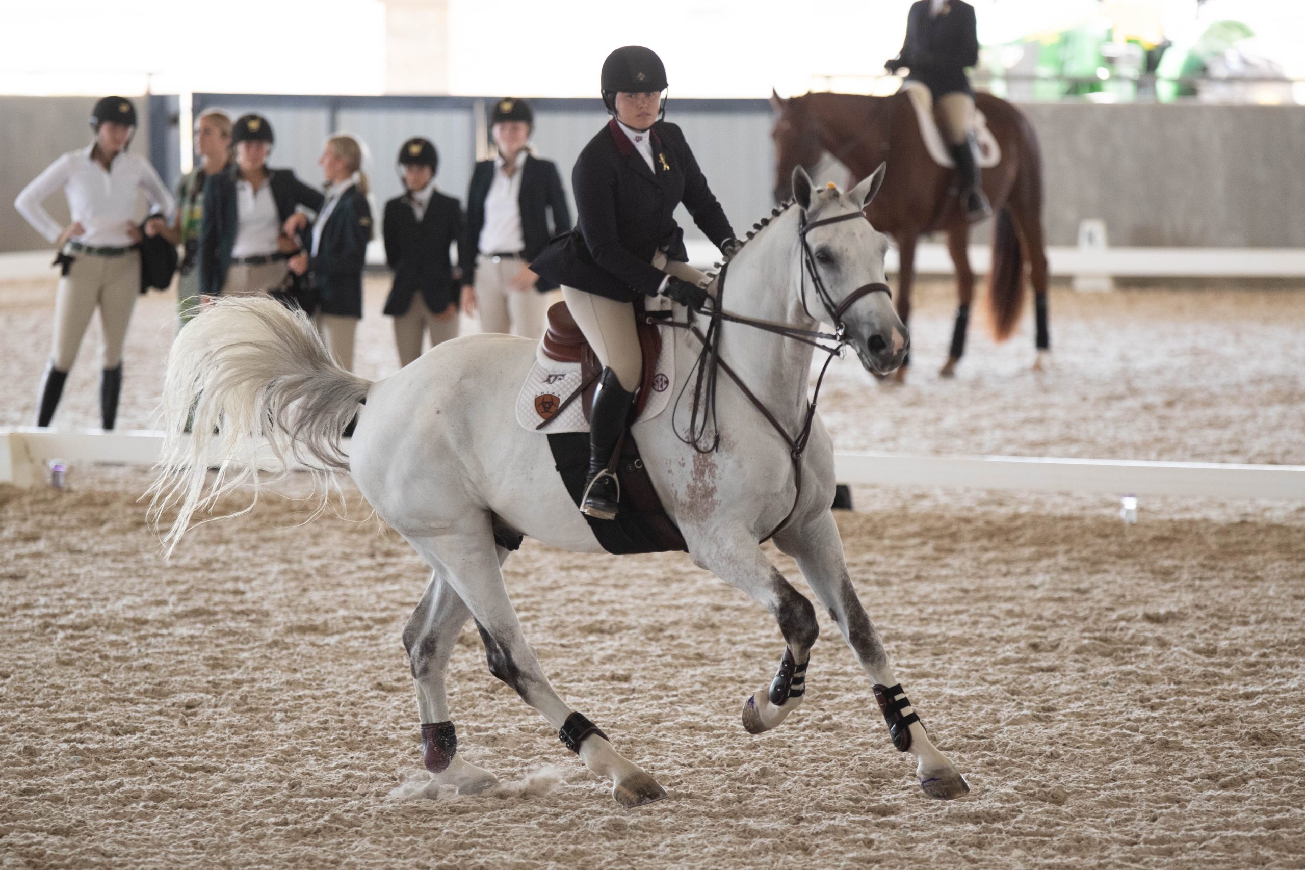 GALLERY%3A+Equestrian+vs+Baylor