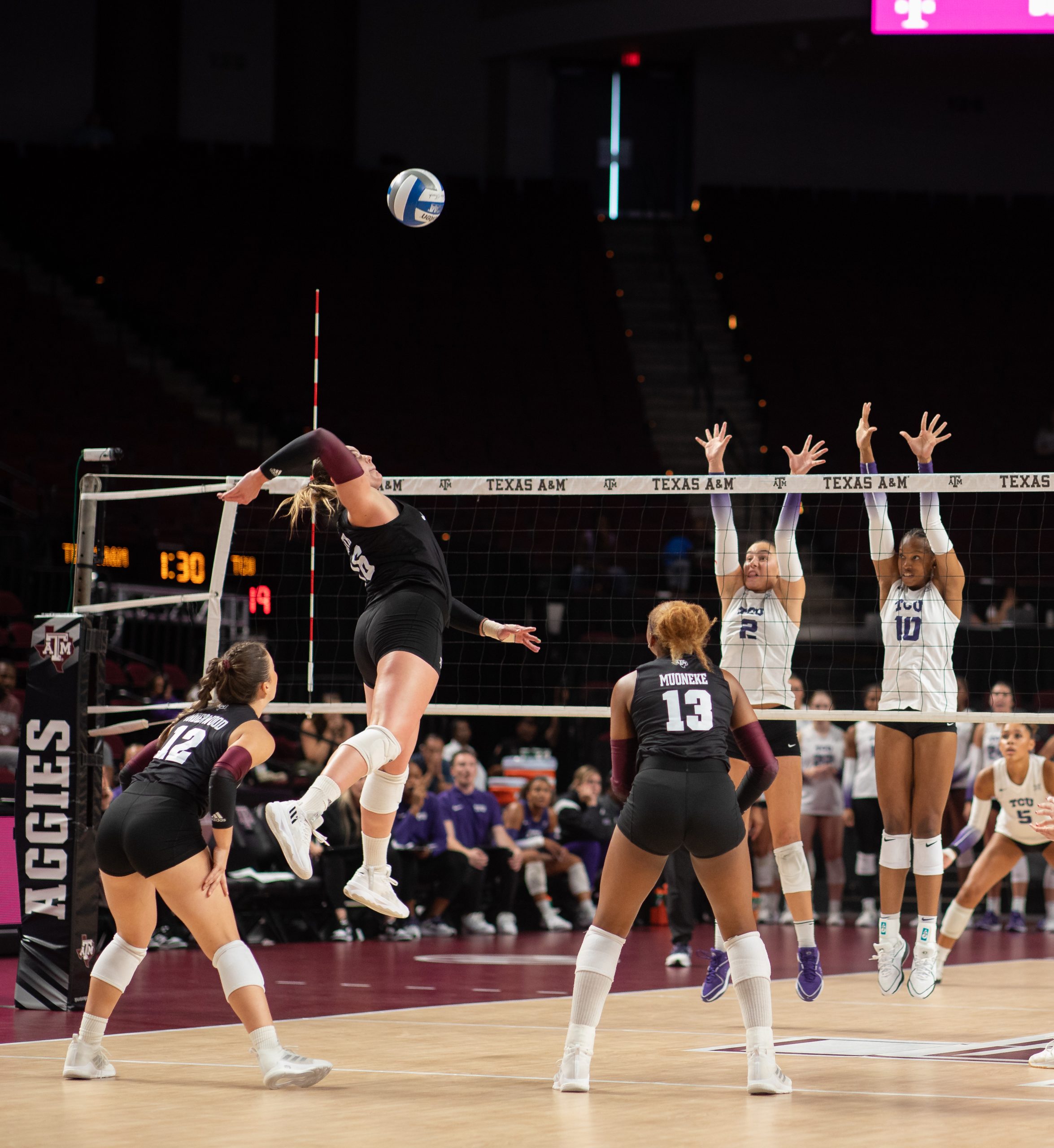 GALLERY: Volleyball vs. TCU