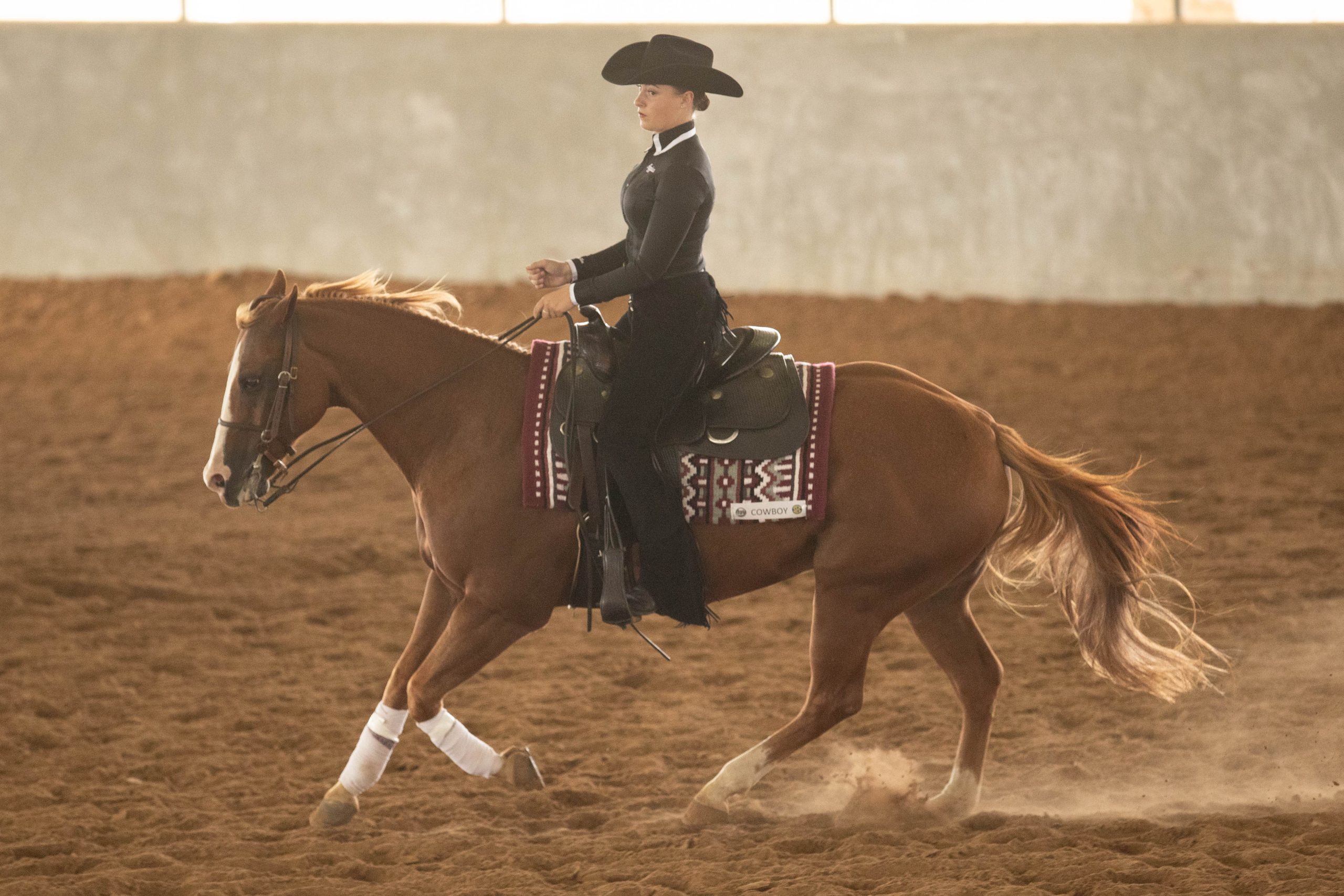 GALLERY%3A+Equestrian+Maroon+%26+White+Scrimmage