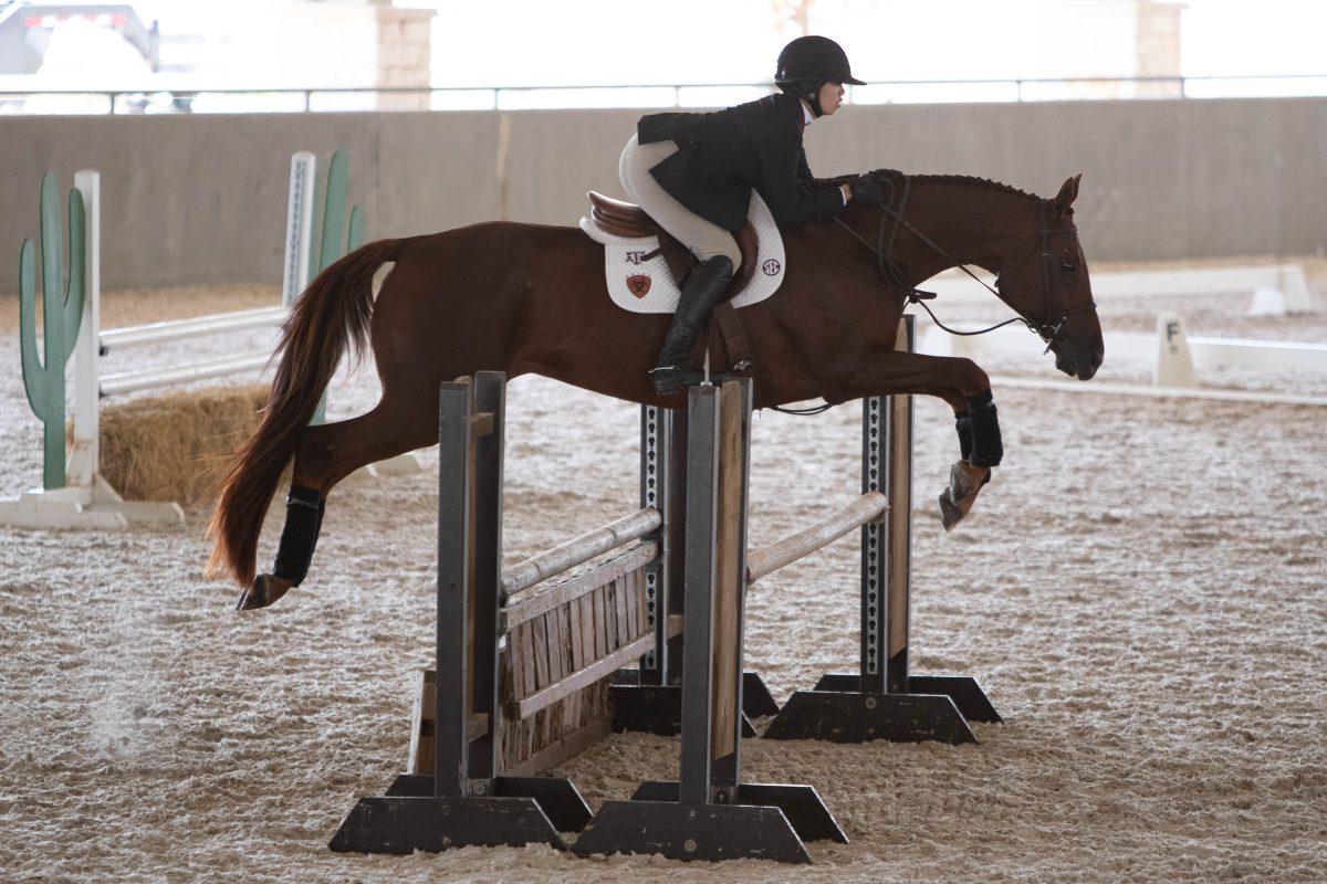 Sophomore+Jumping+Seat+rider+Alexa+Leong+completes+a+jump+on+Sparky+at+the+Texas+A%26amp%3BM+vs+Baylor+Equestrian+meet+on+Sept.29%2C+2023+at+the+Hildbrand+Equine+Complex.+%28Julianne+Shivers%2F+The+Batlalion%29