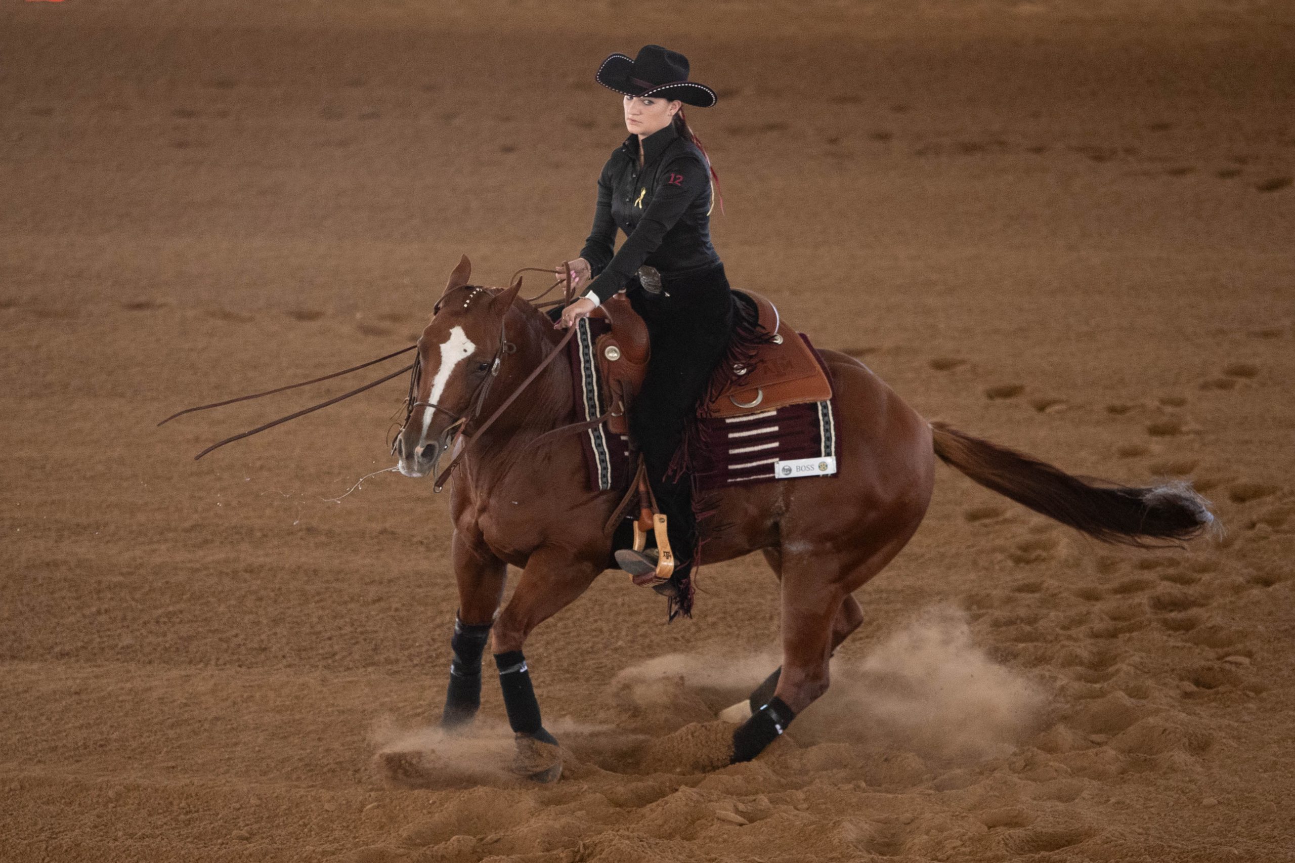 GALLERY: Equestrian vs Baylor