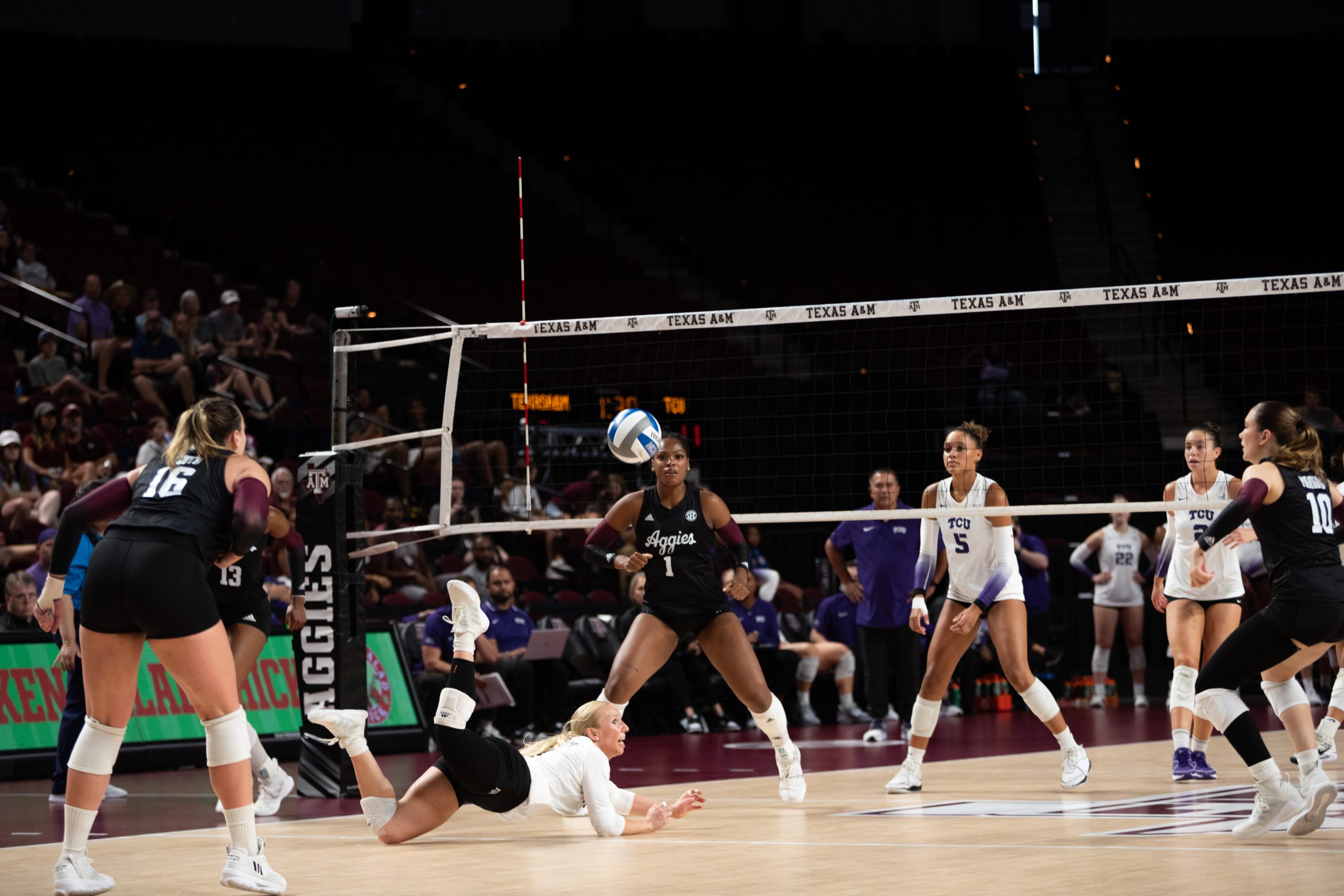 GALLERY: Volleyball vs. TCU