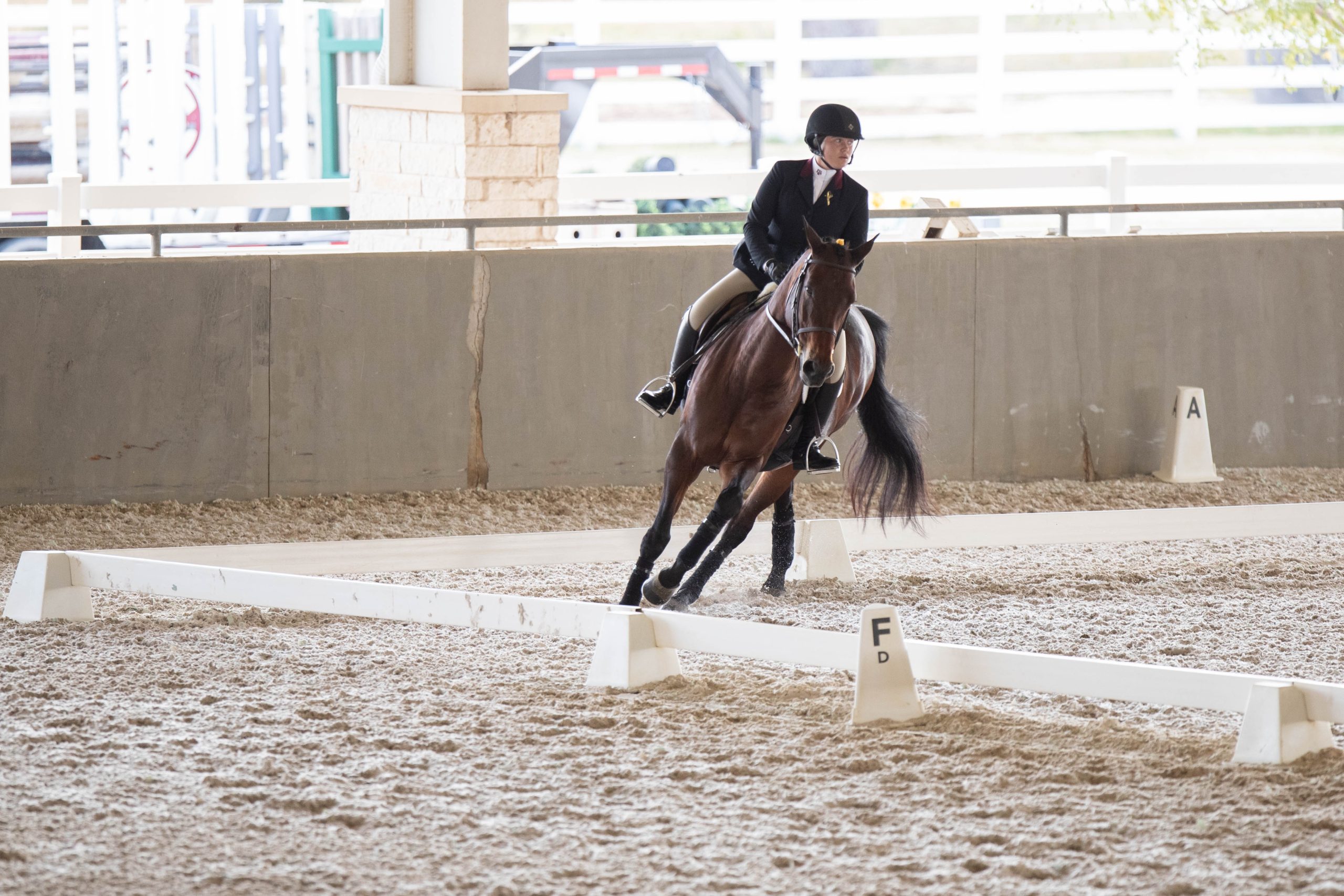 GALLERY: Equestrian vs Baylor