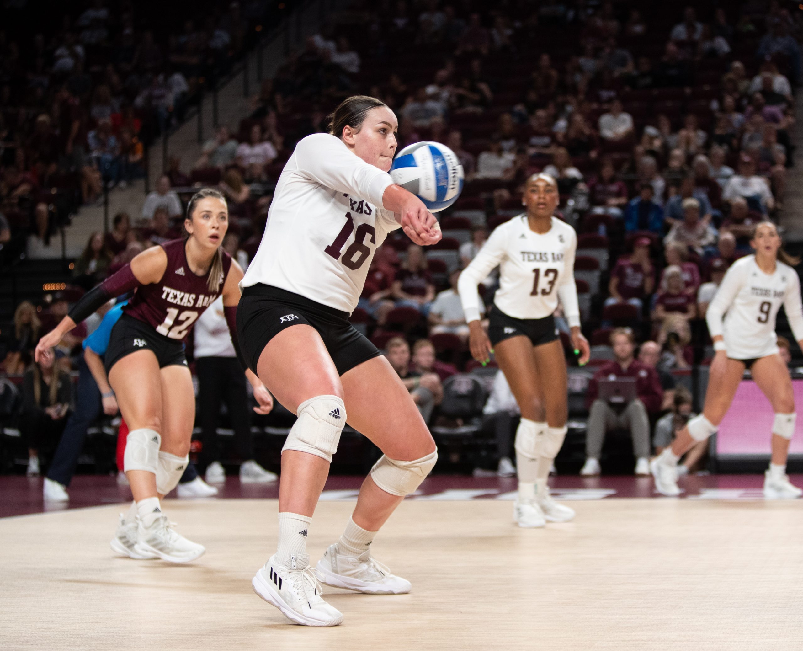 GALLERY: Volleyball vs. Houston