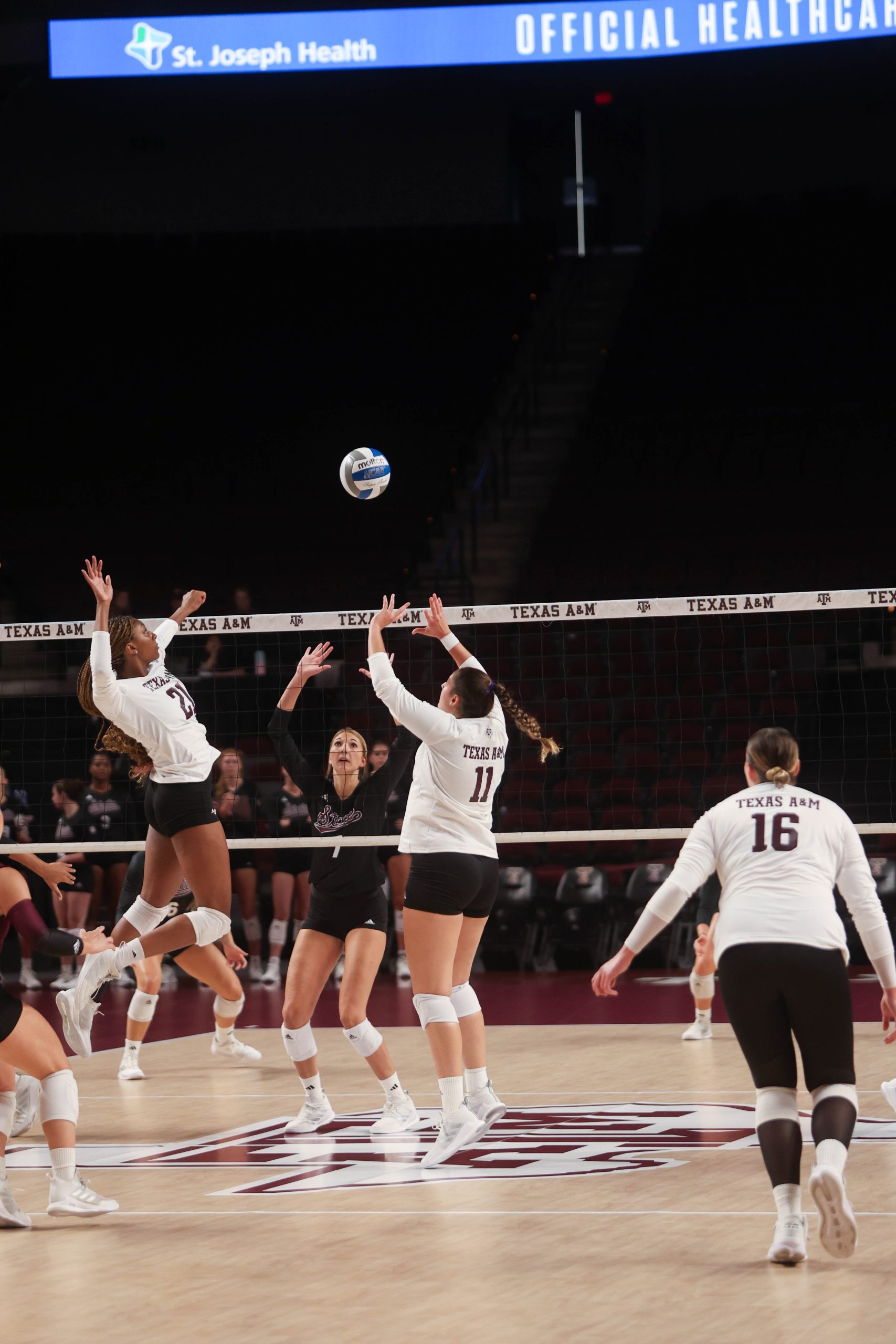 GALLERY: Volleyball vs. Mississippi State