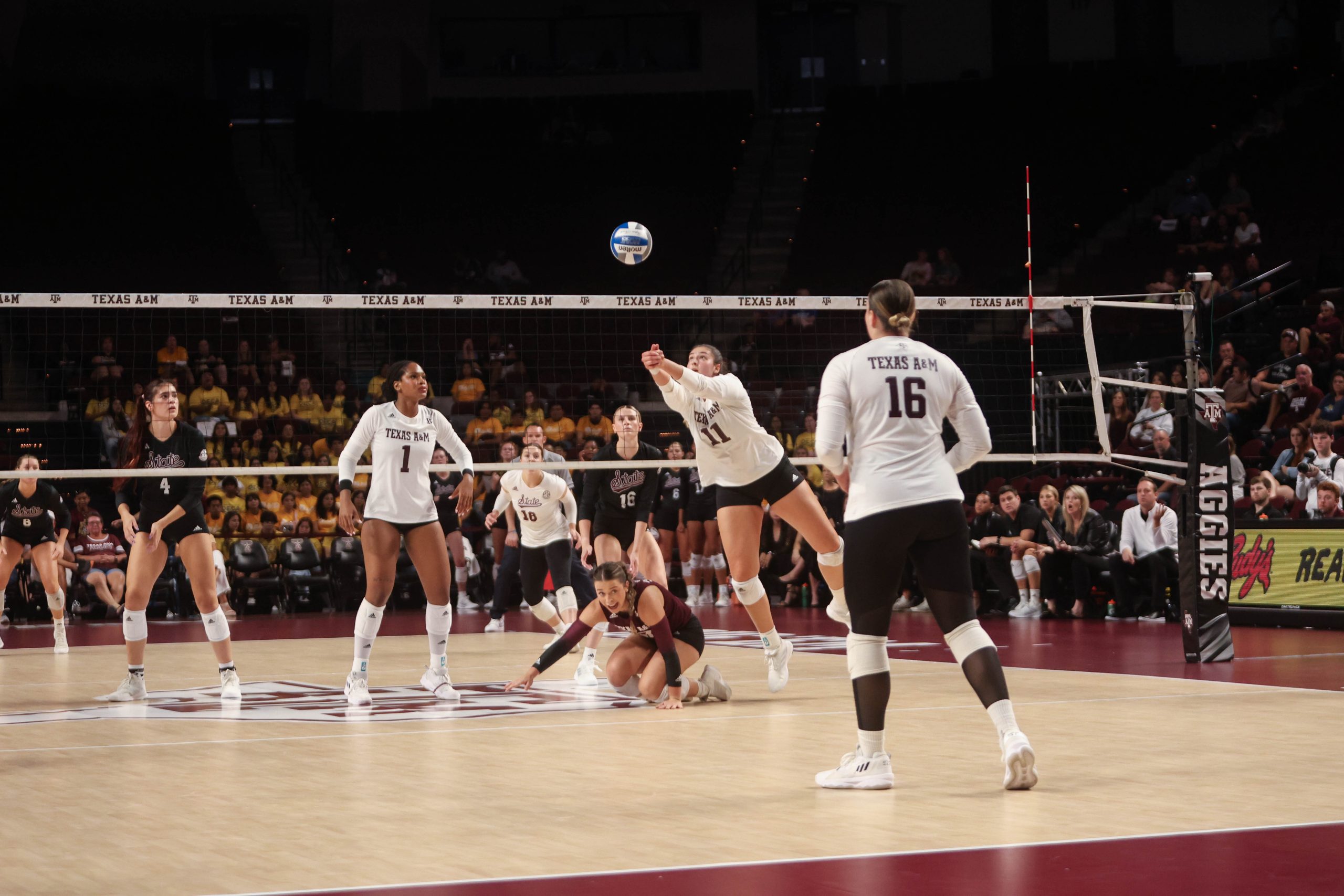 GALLERY: Volleyball vs. Mississippi State