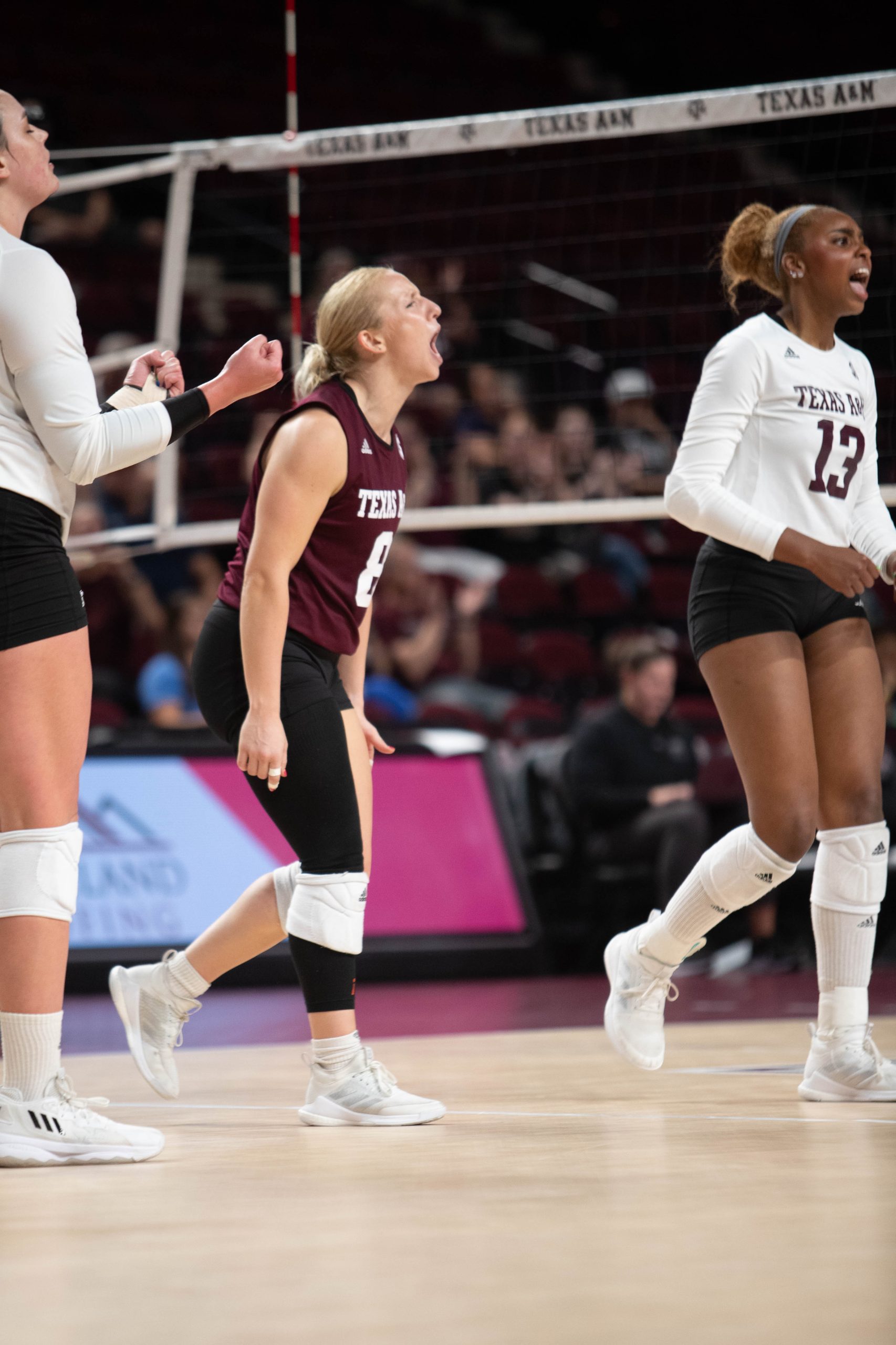 GALLERY:Volleyball vs. Utah State