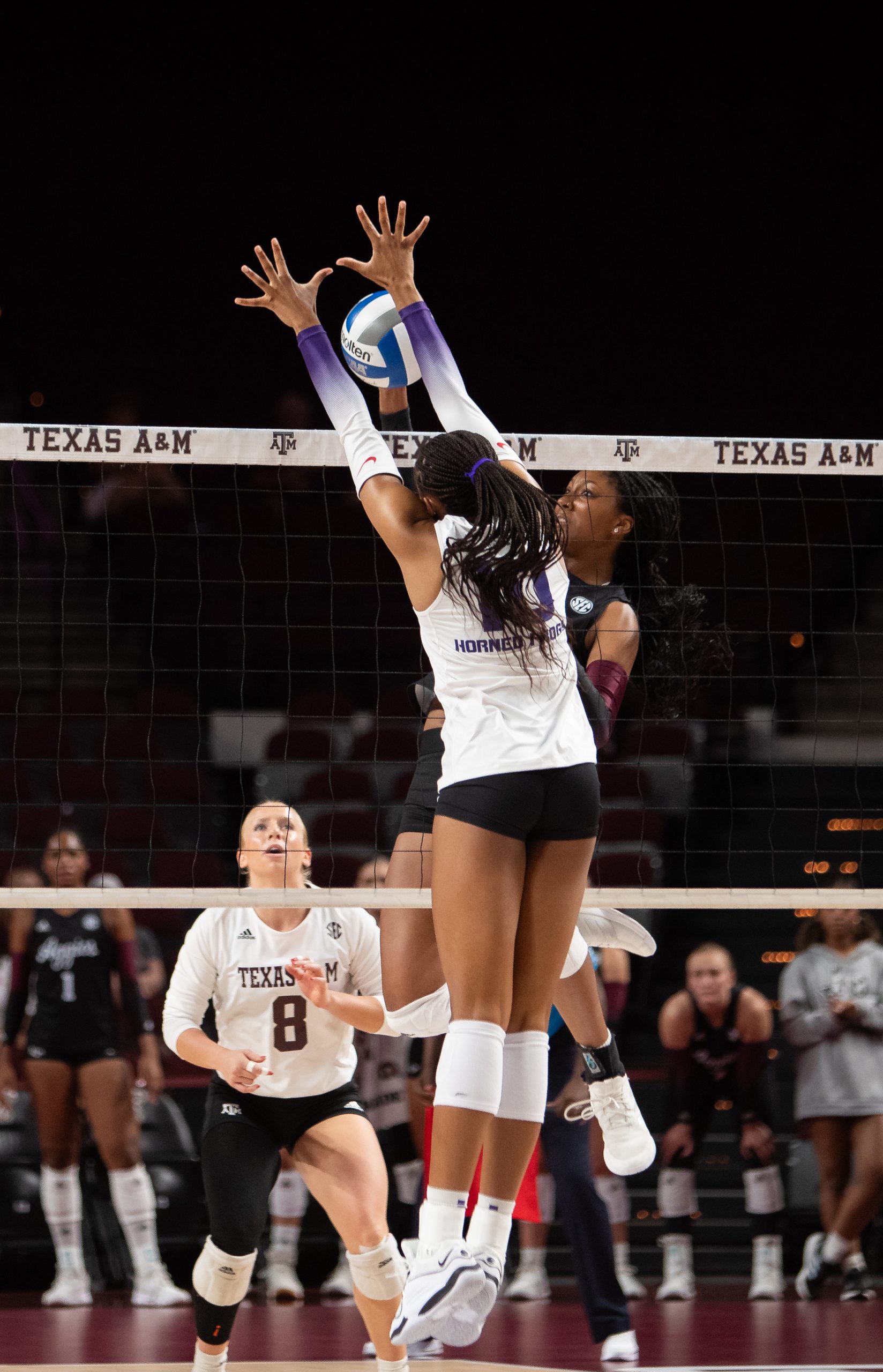 GALLERY: Volleyball vs. TCU