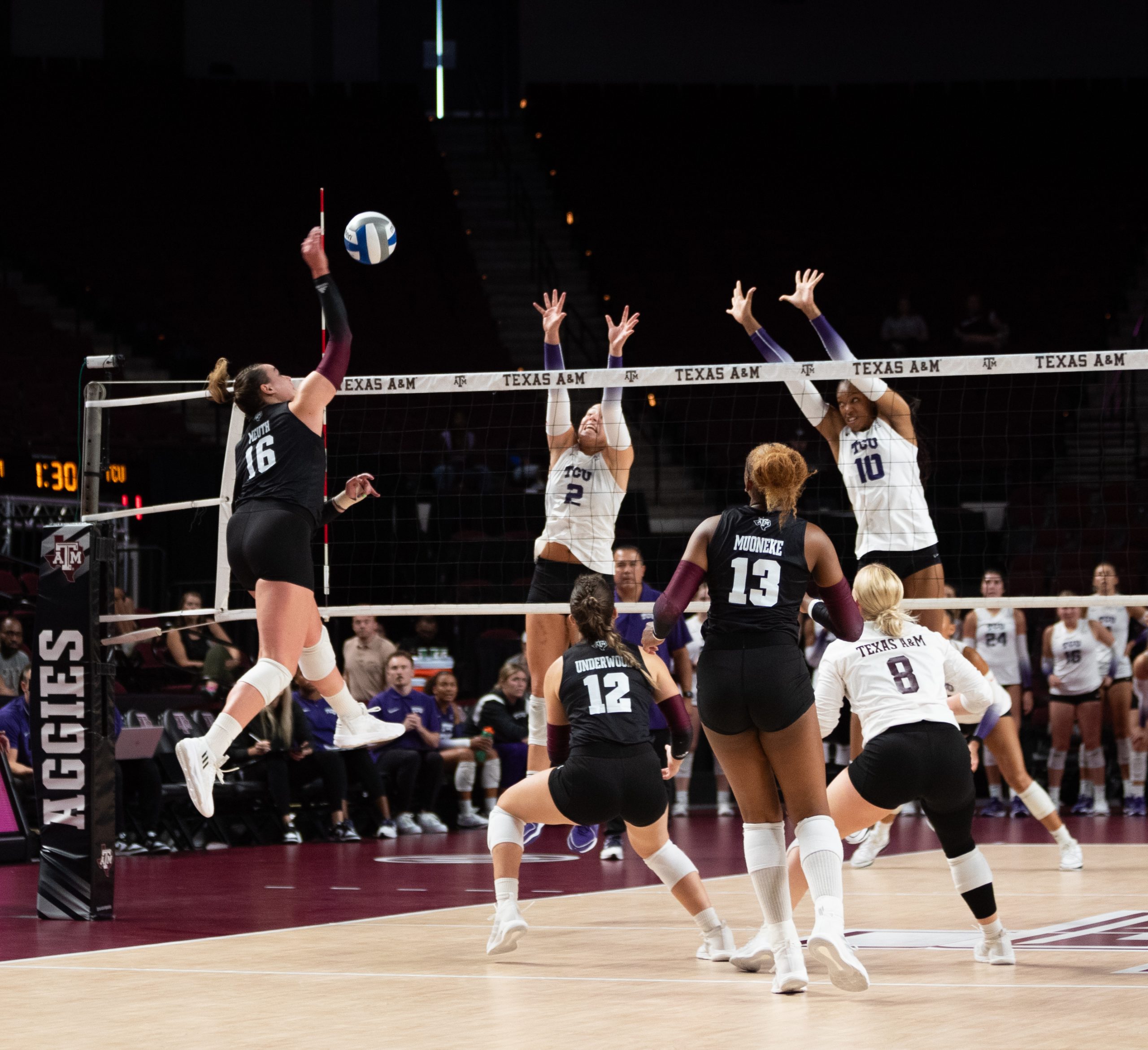 GALLERY: Volleyball vs. TCU