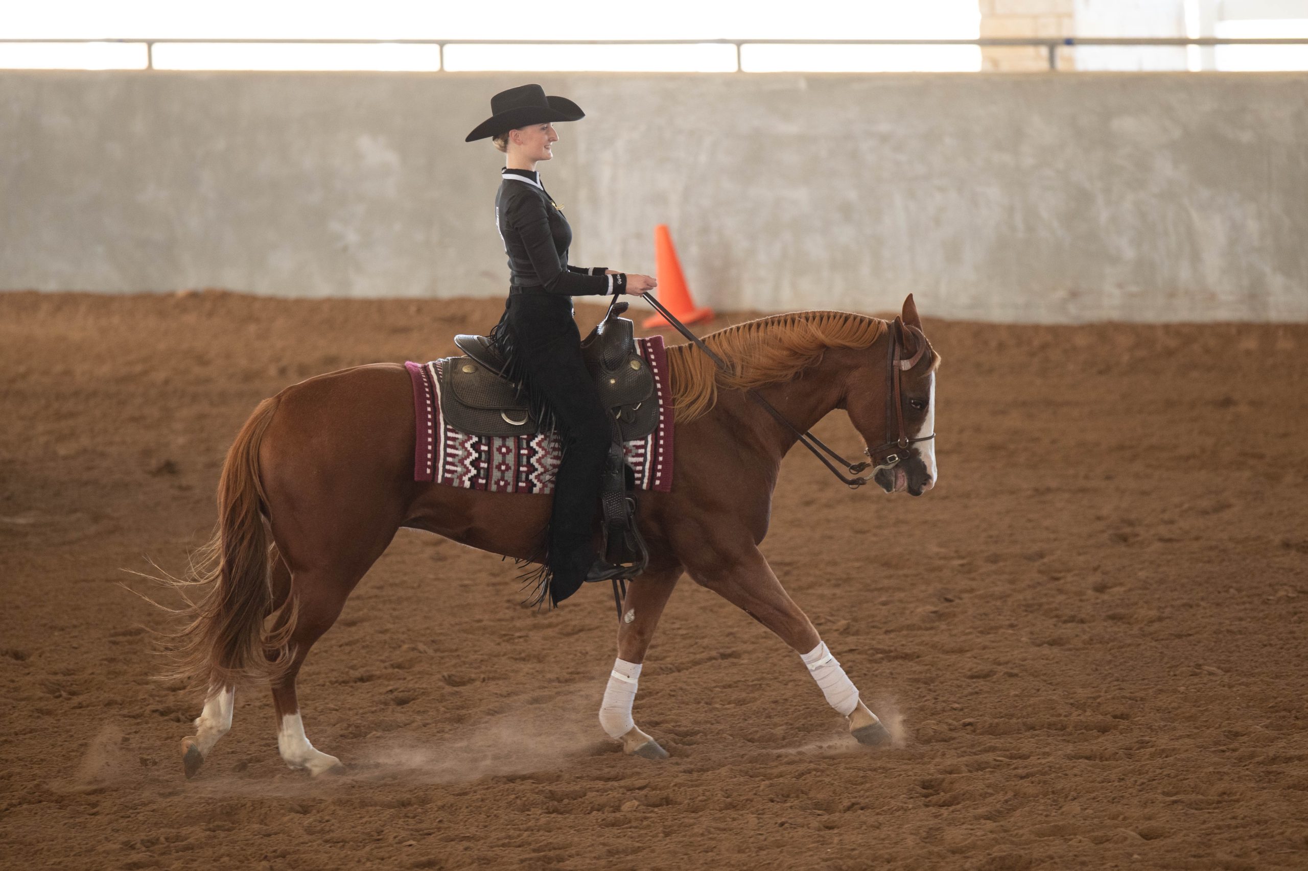 GALLERY: Equestrian vs Baylor