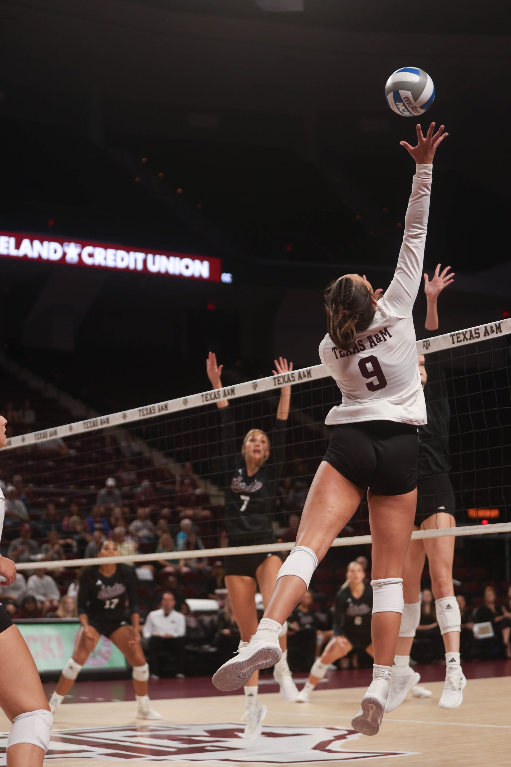 GALLERY: Volleyball vs. Mississippi State